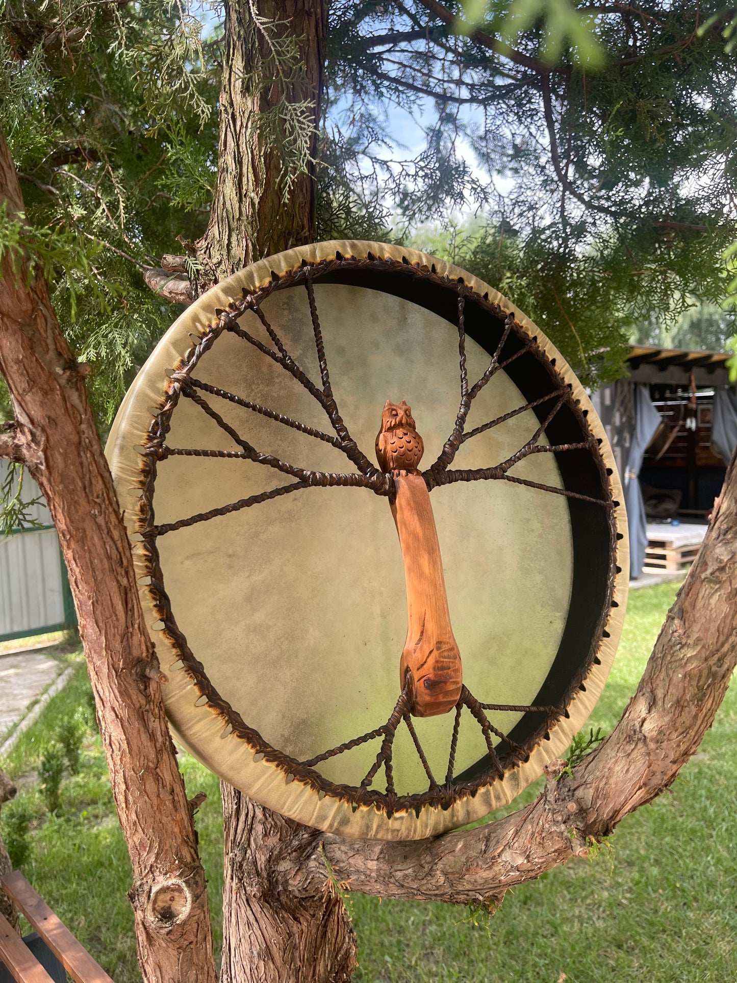 Shaman drum Owl