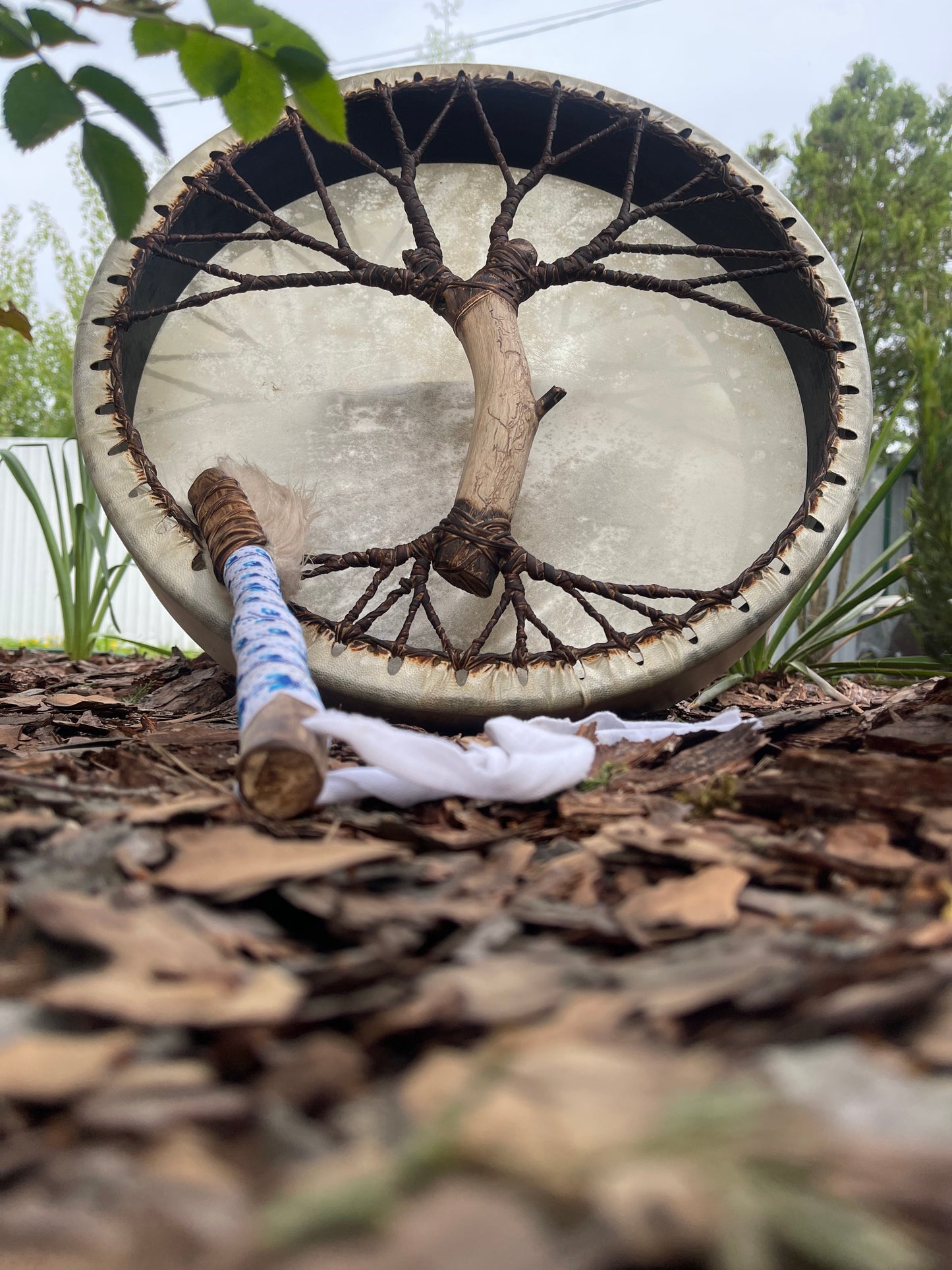 Shaman drum Tree of Life 16’