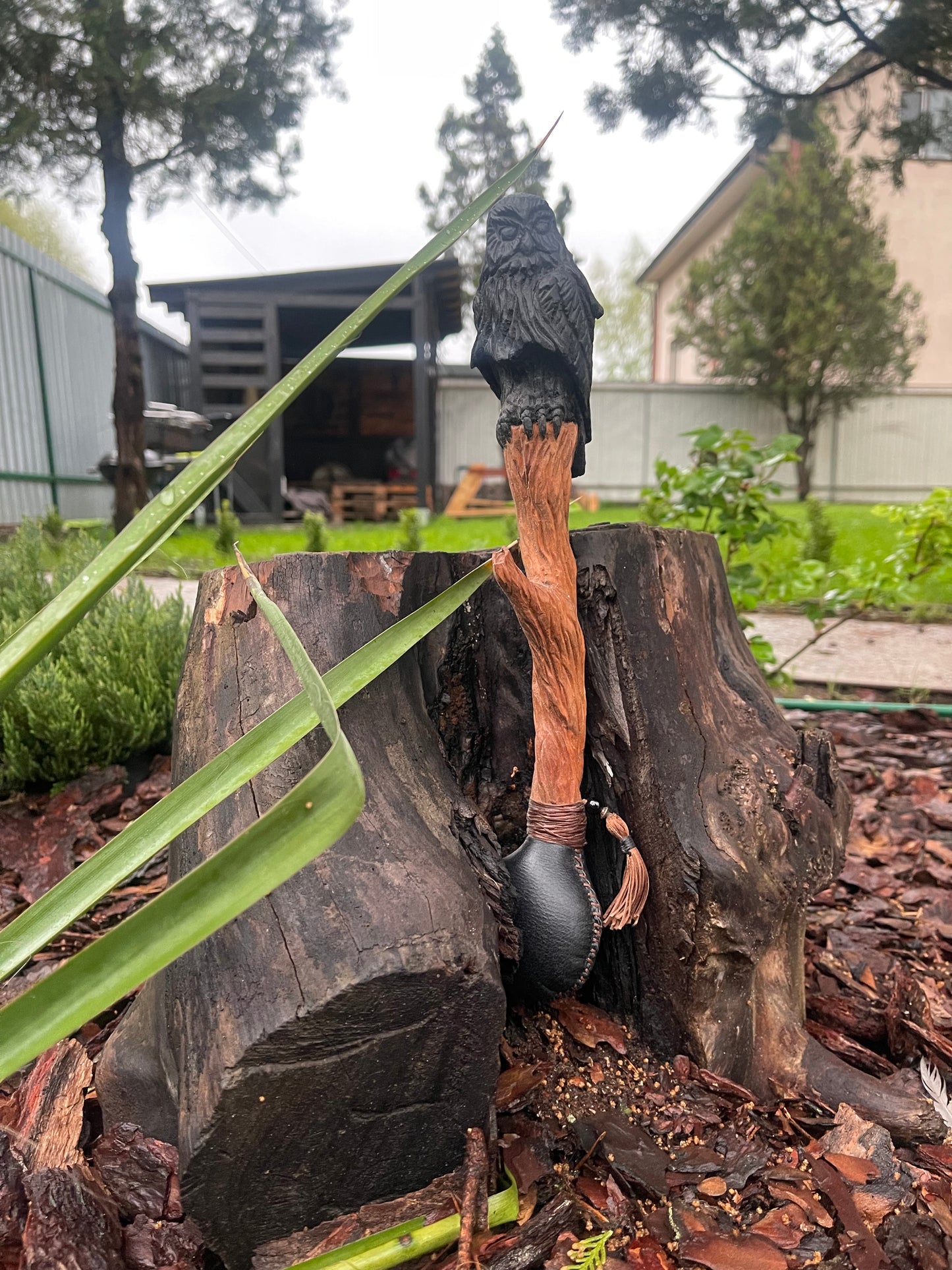 Shamanic rattle an Owl