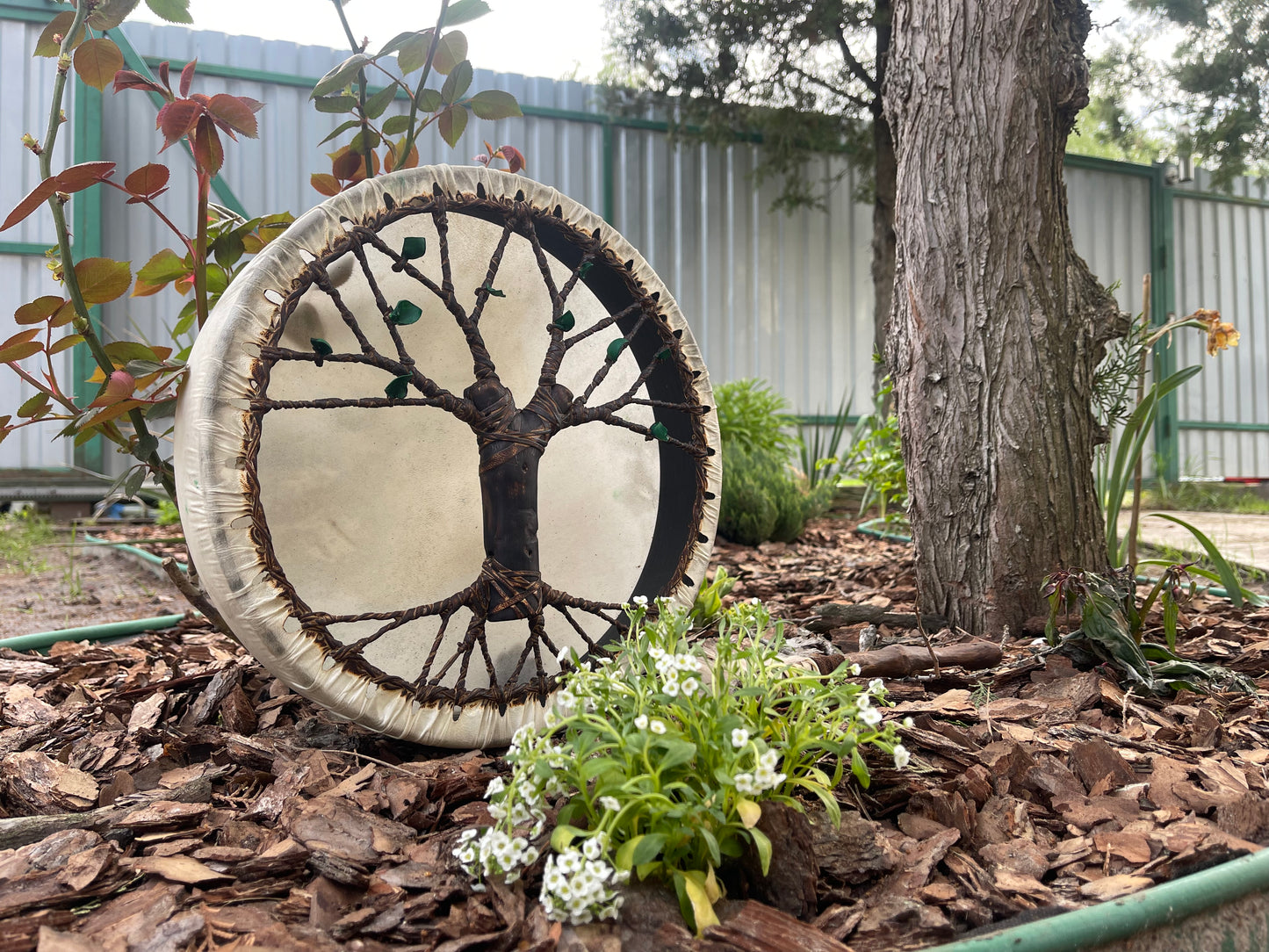 Shaman drum Tree of Life 12'