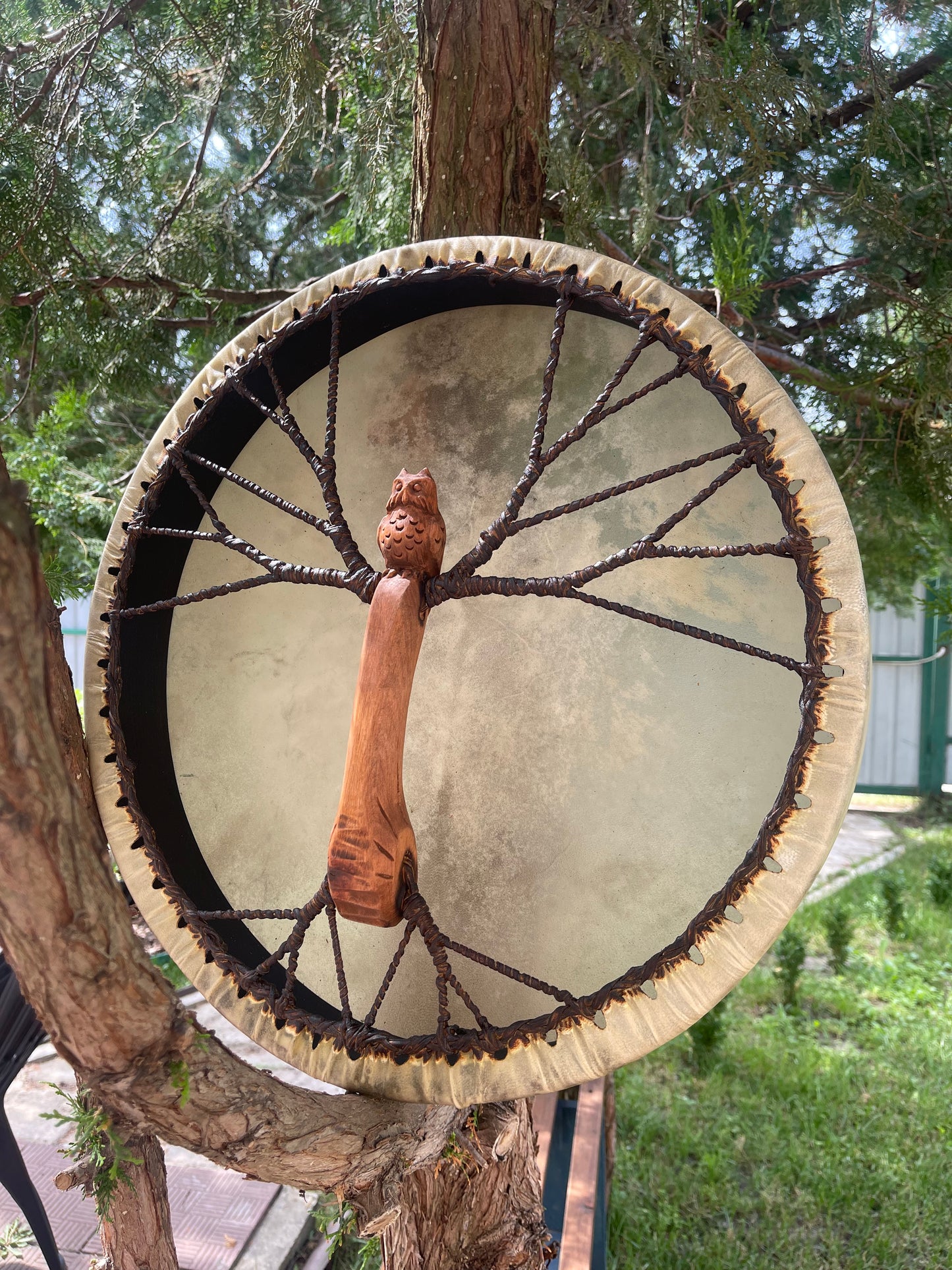 Shaman drum Owl