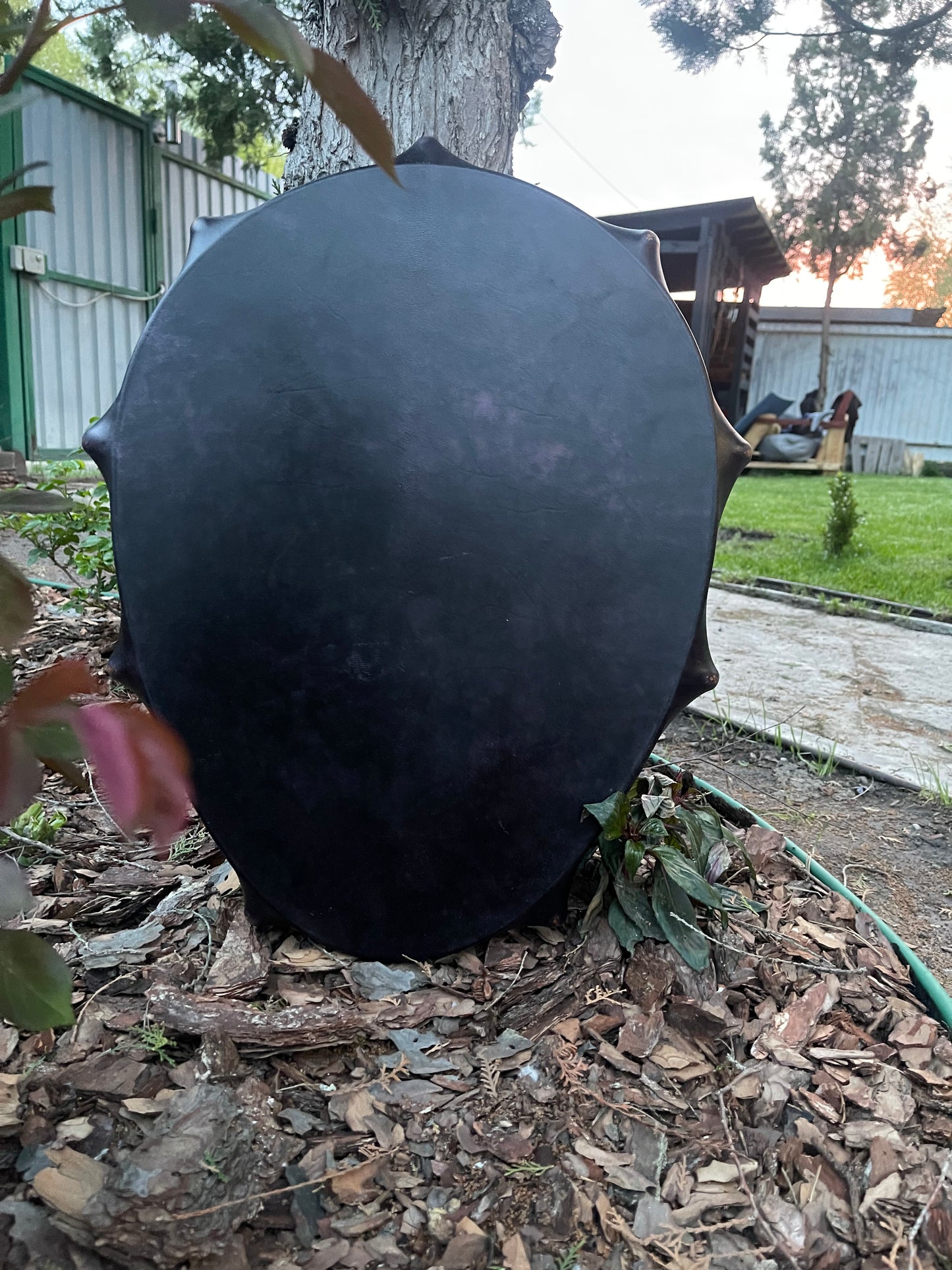 Shaman drum Spirit of the Wolf