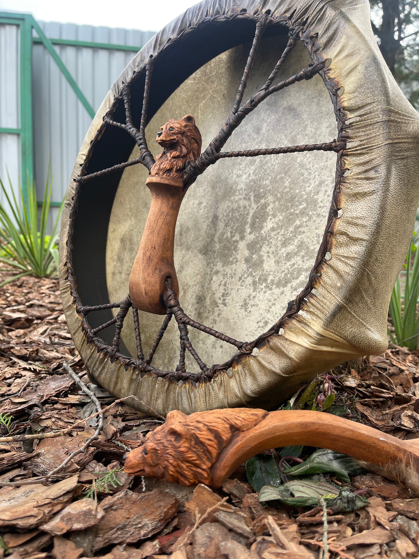 Shaman drum the Bear 16 inches