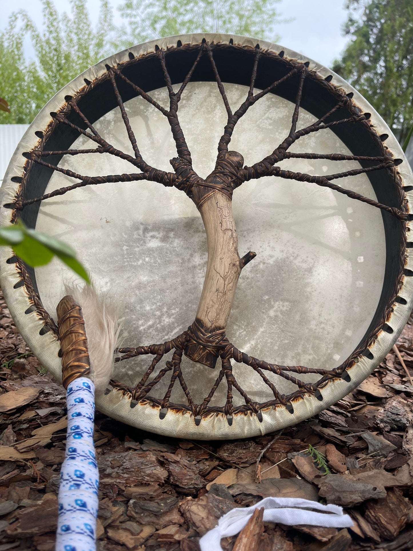 Shaman drum Tree of Life 16’