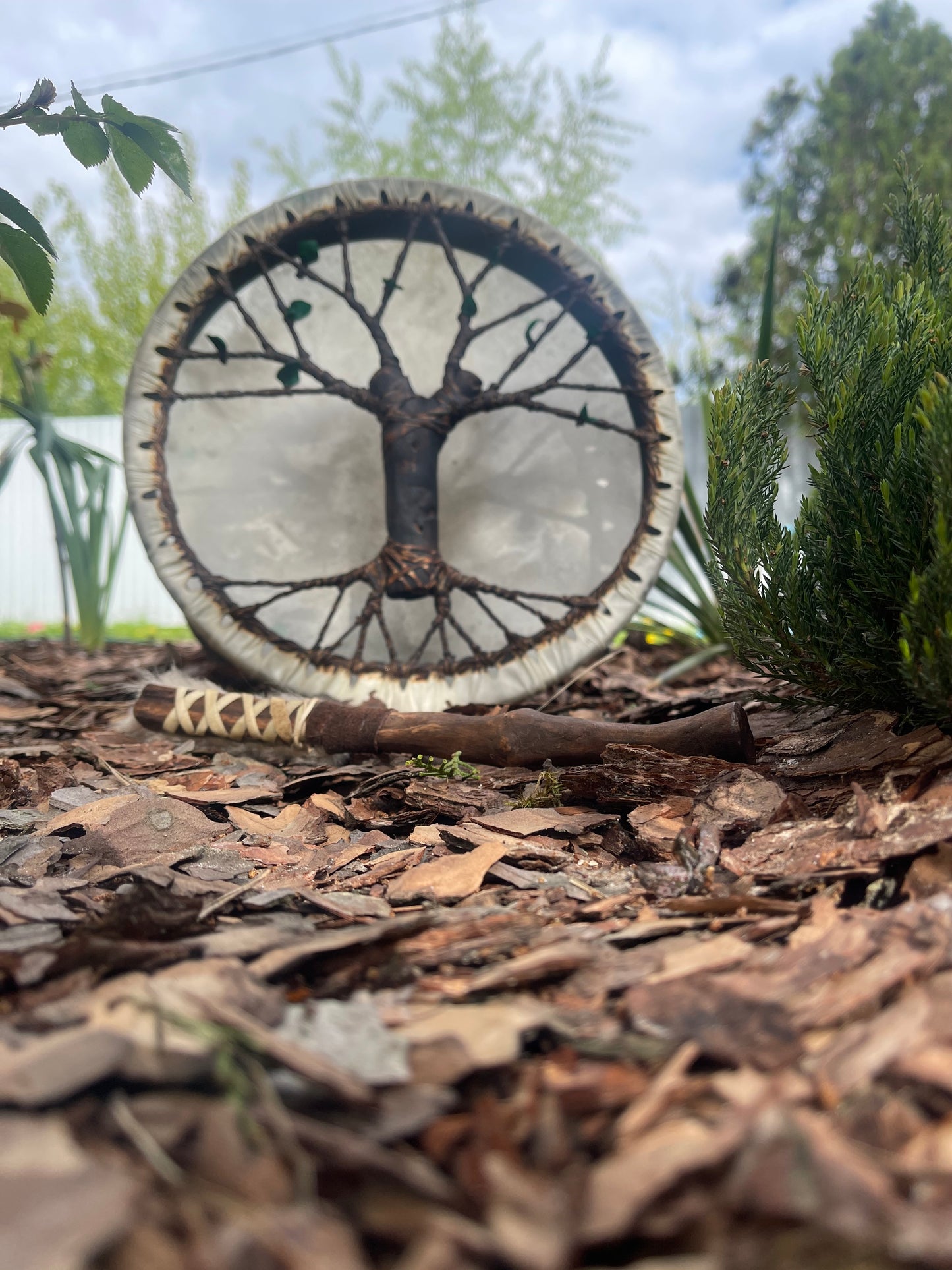 Shaman drum Tree of Life 12'