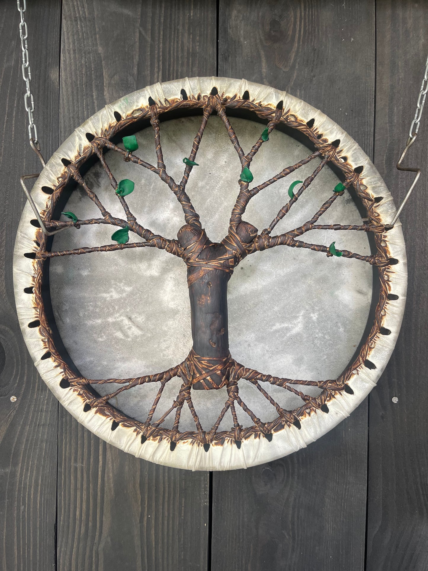 Shaman drum Tree of Life 12'