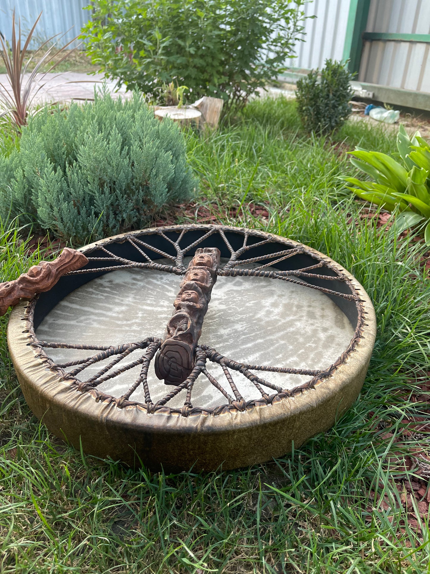 Shaman drum Life line 20’