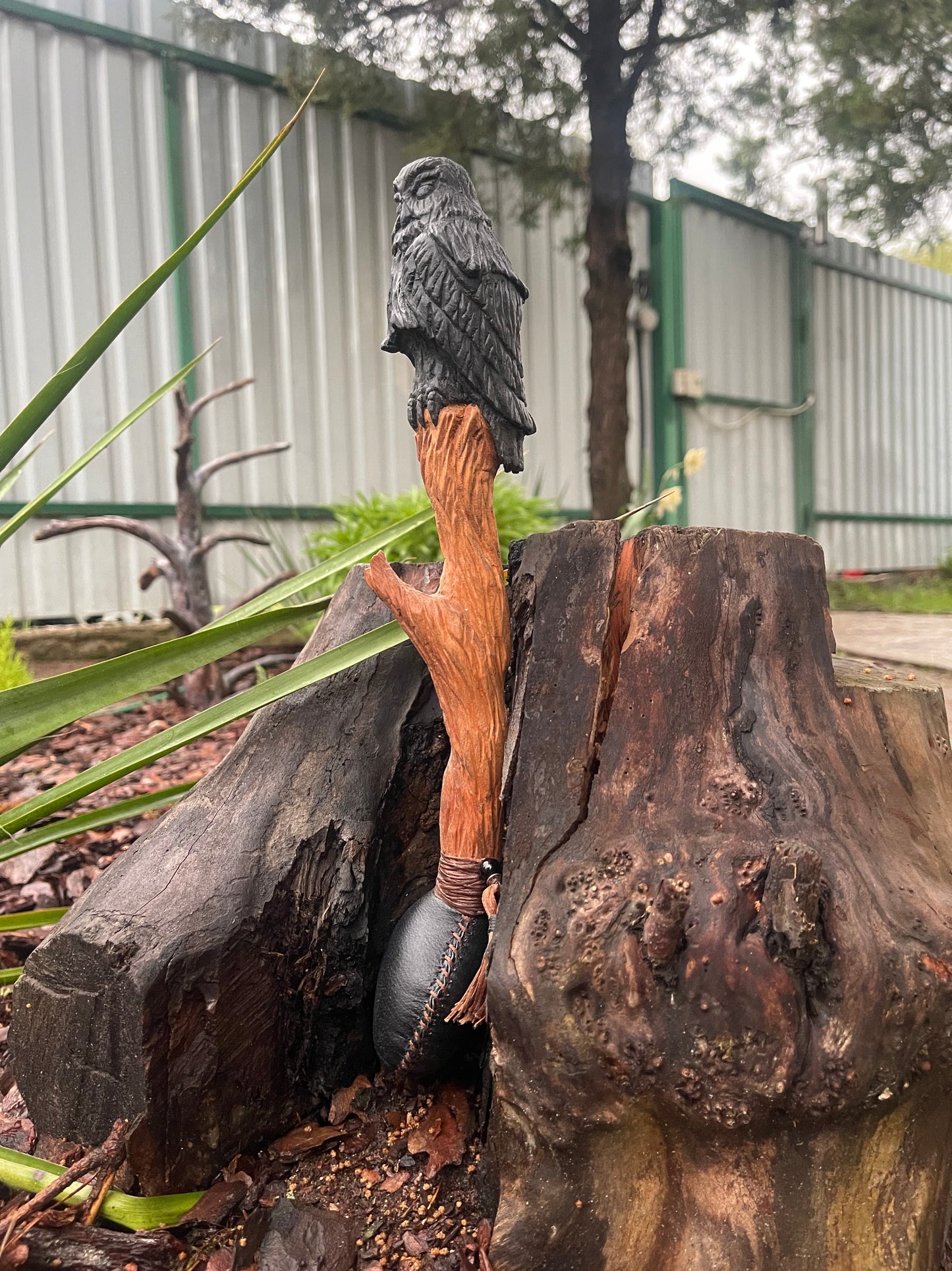 Shamanic rattle an Owl