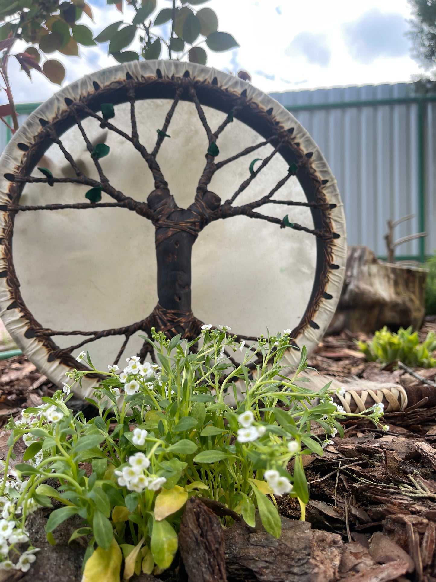 Shaman drum Tree of Life 12'