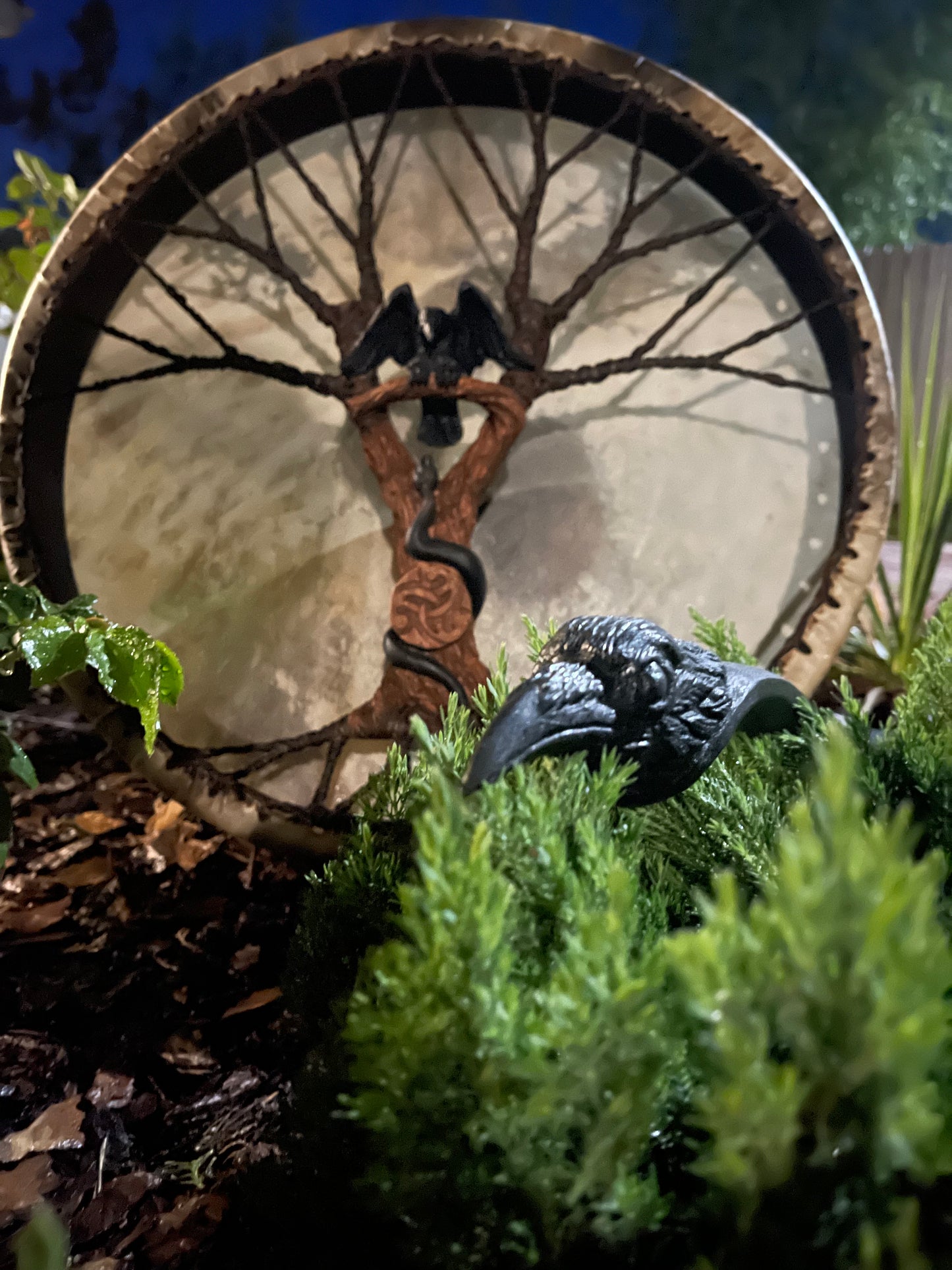 Shaman drum Raven and Snake 20ʼ