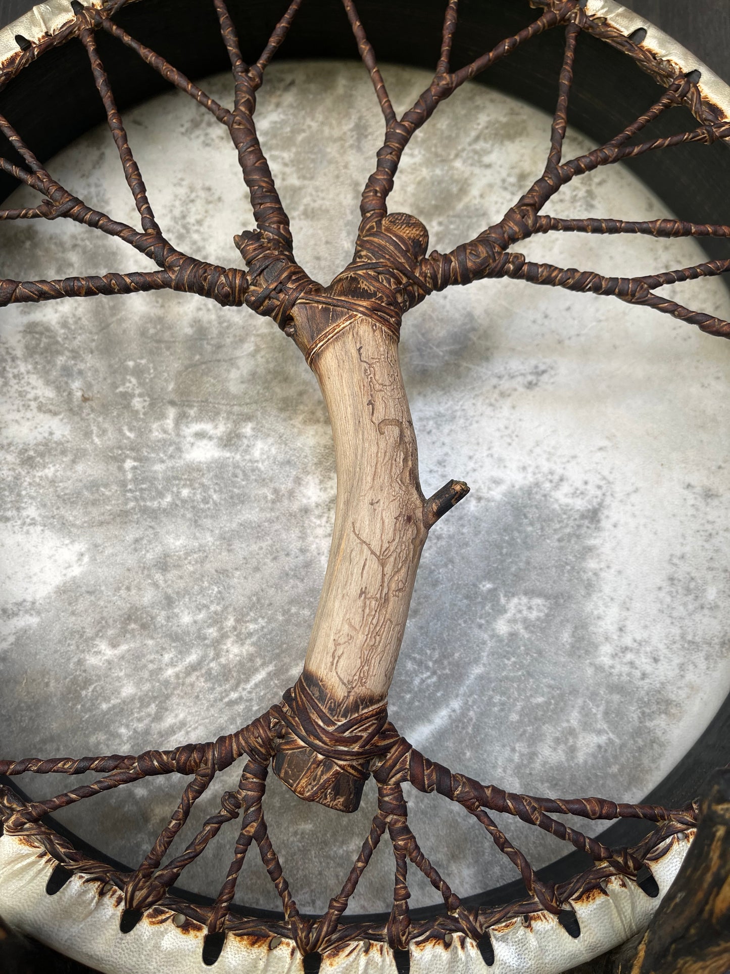 Shaman drum Tree of Life 16’