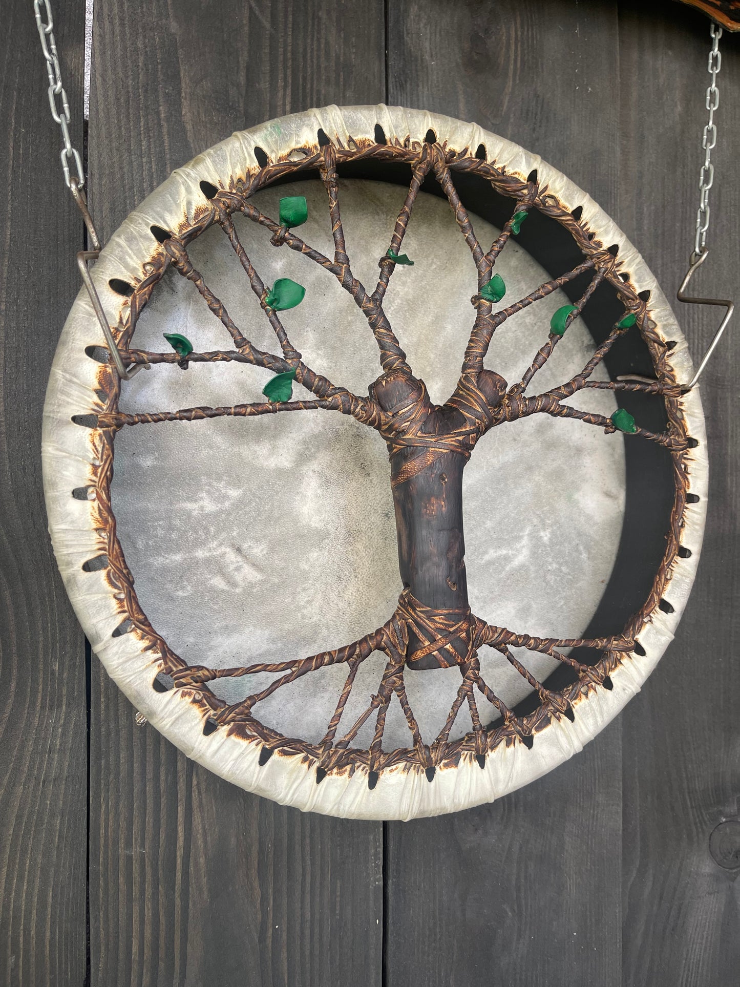 Shaman drum Tree of Life 12'