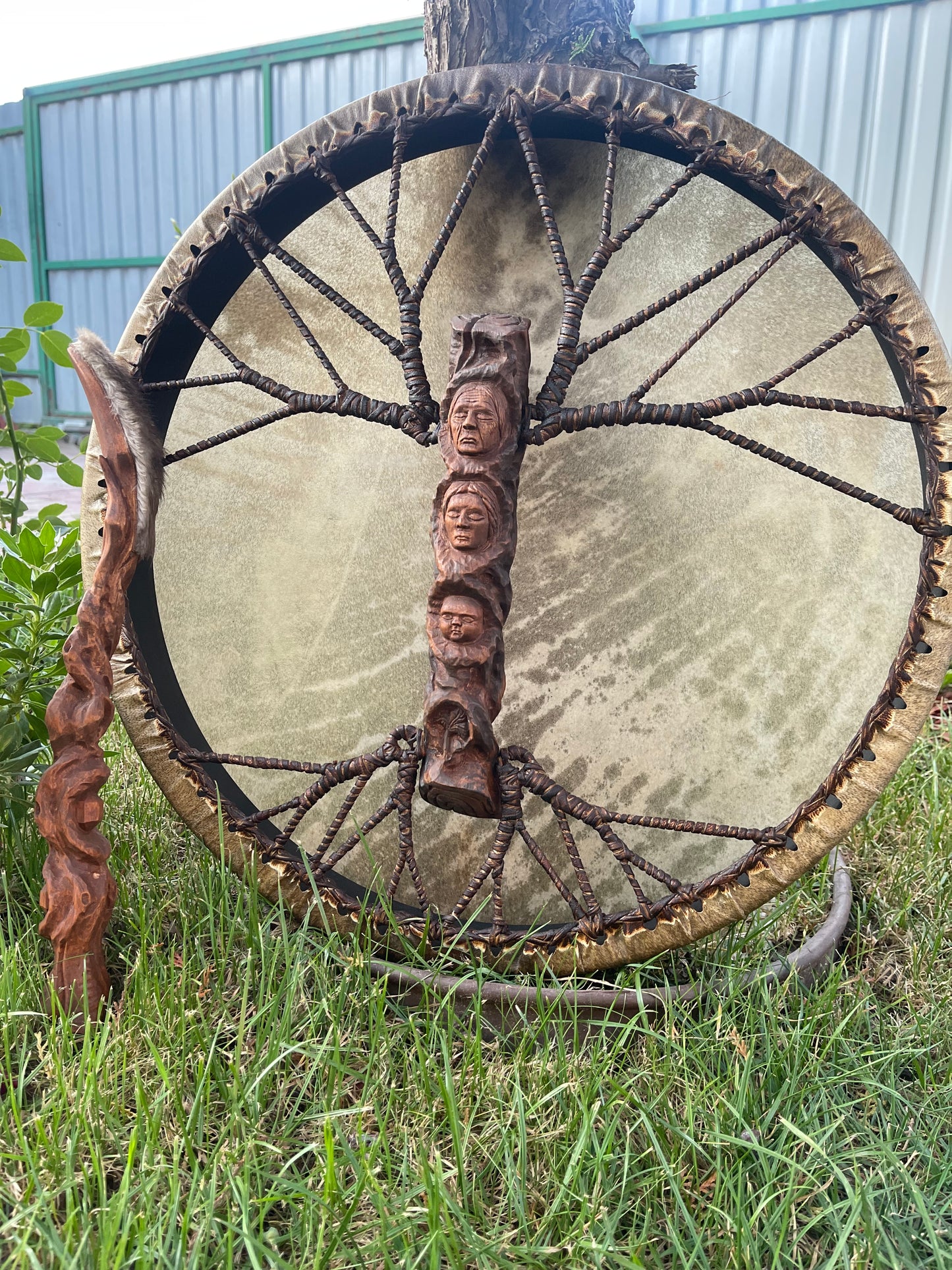 Shaman drum Life line 20’