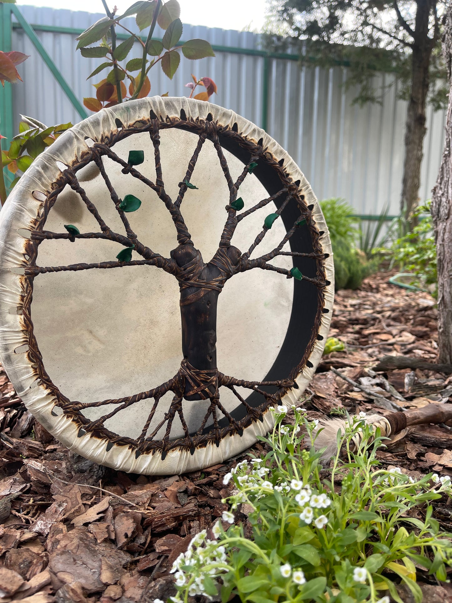 Shaman drum Tree of Life 12'