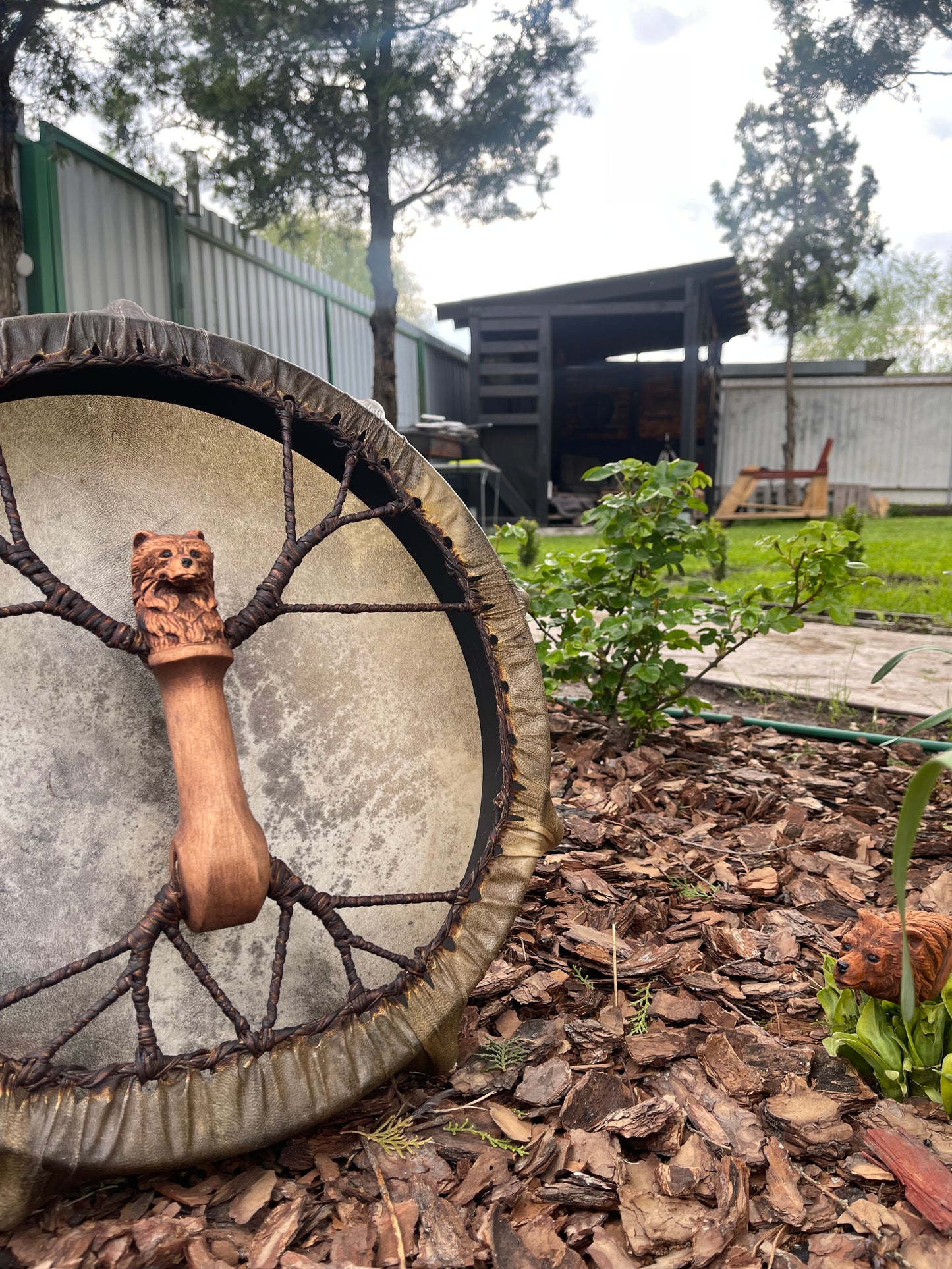 Shaman drum the Bear 16 inches