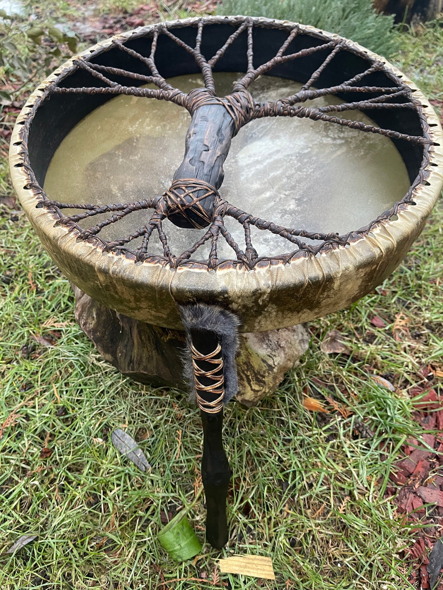 Shaman drum Tree of Life 16’