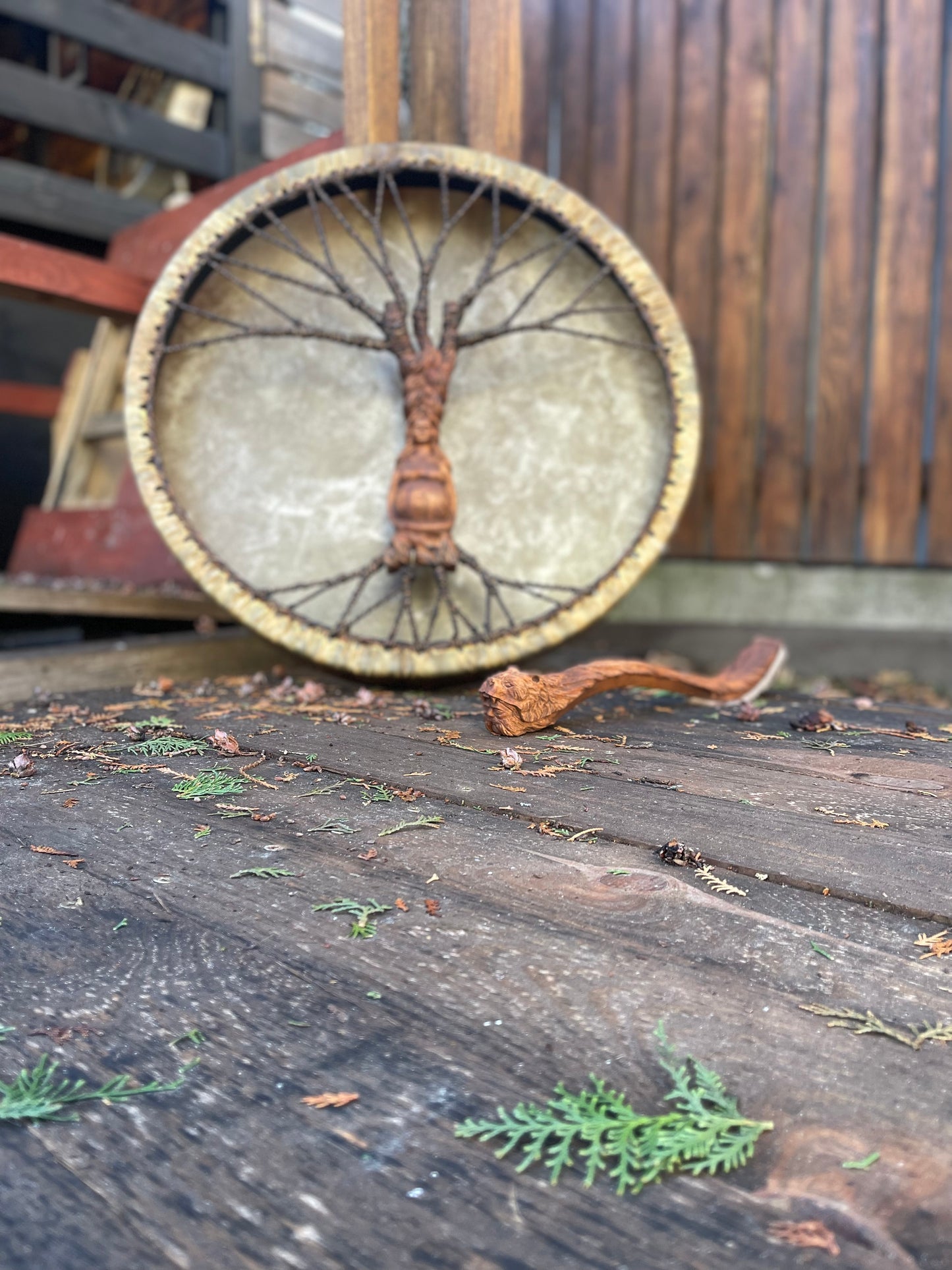 Shaman drum Mother Land