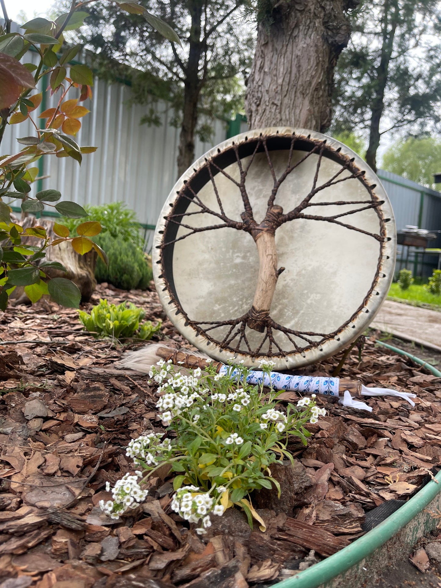 Shaman drum Tree of Life 16’