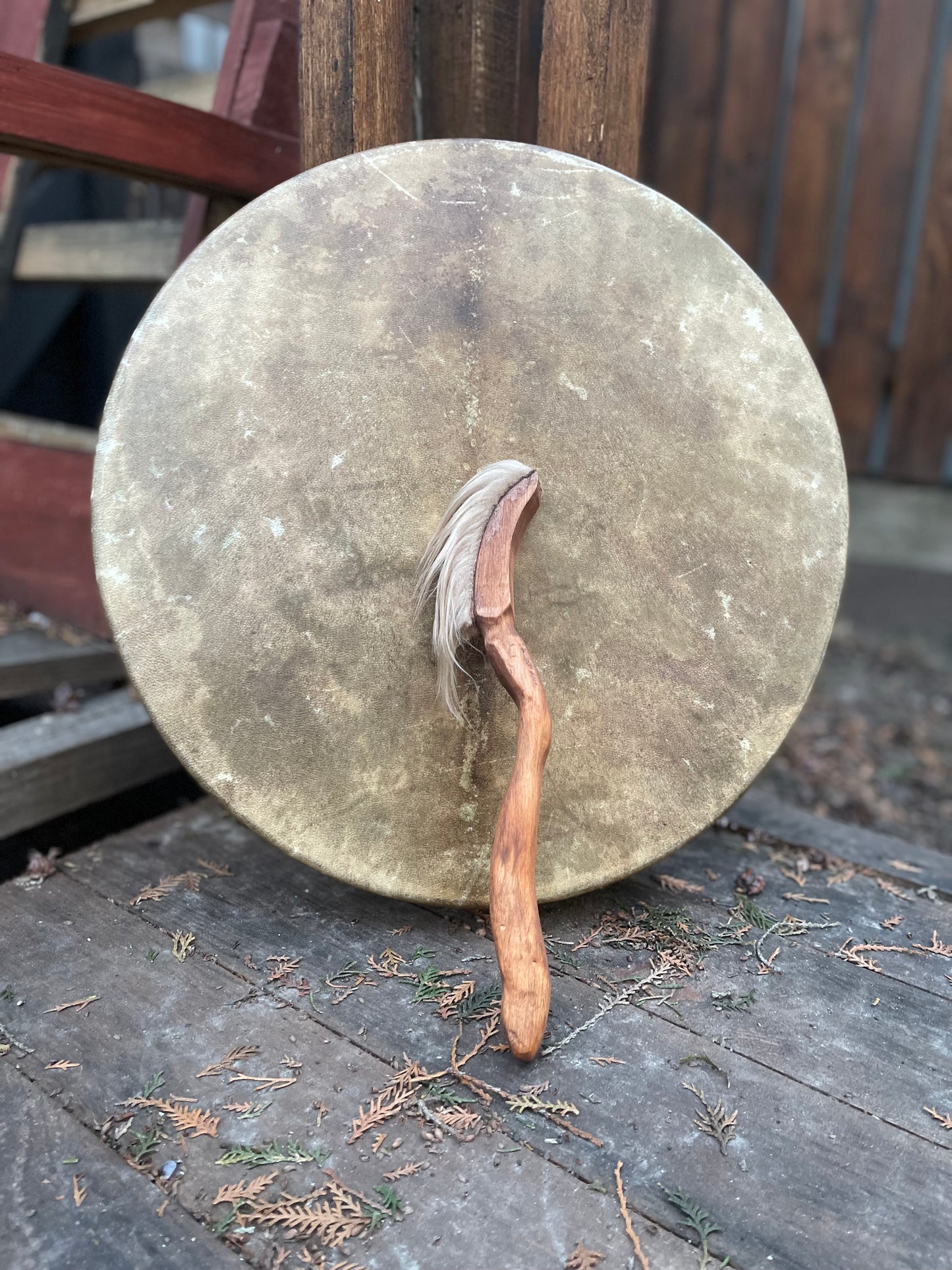 Shaman drum the Dragon