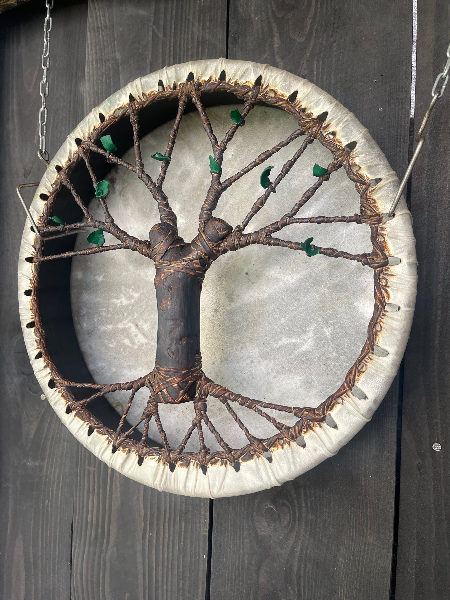 Shaman drum Tree of Life 12'