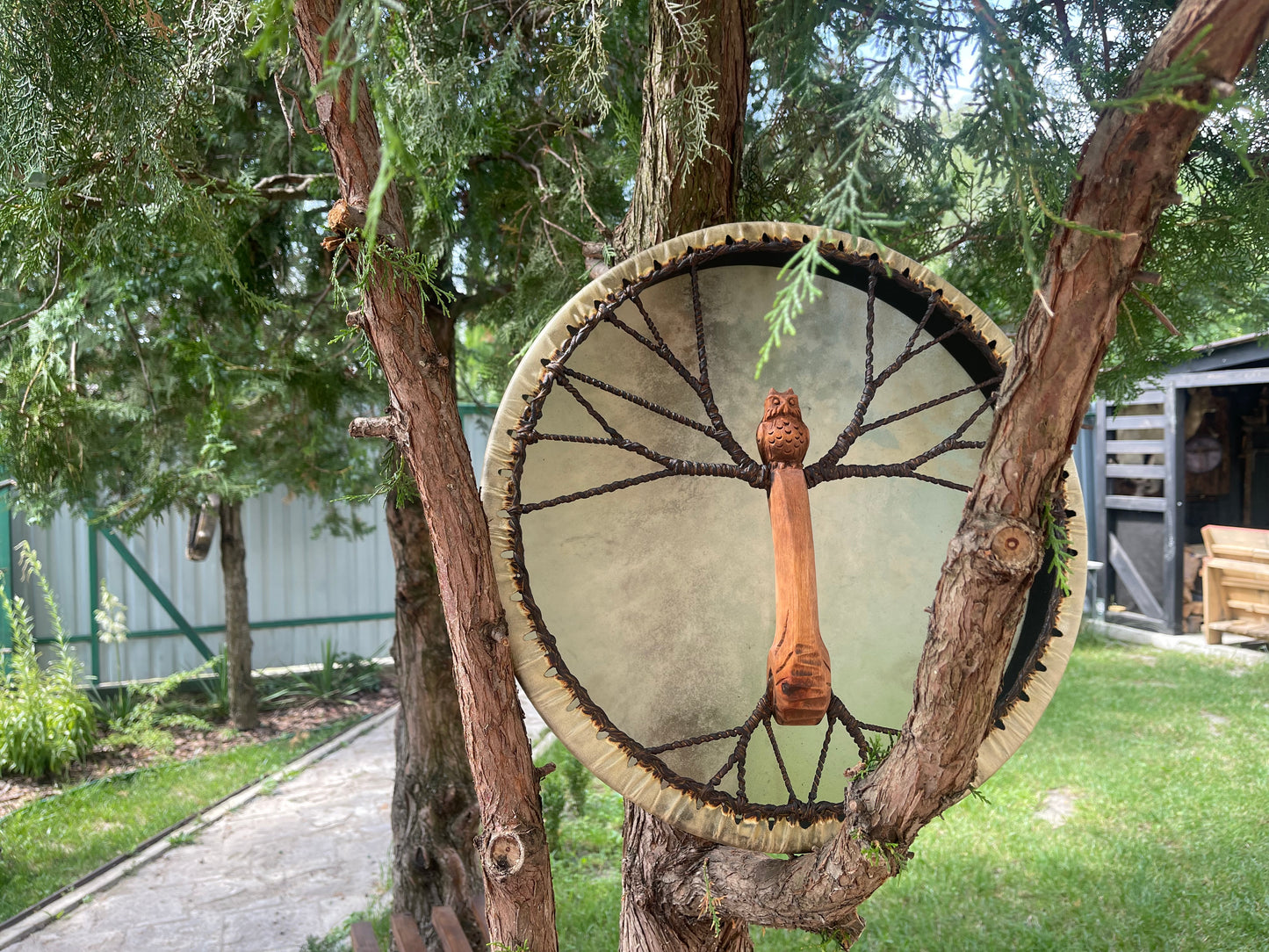 Shaman drum Owl