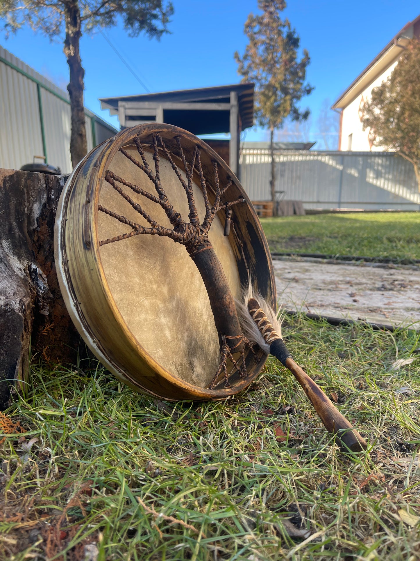 Shaman drum Tree of Life 12'