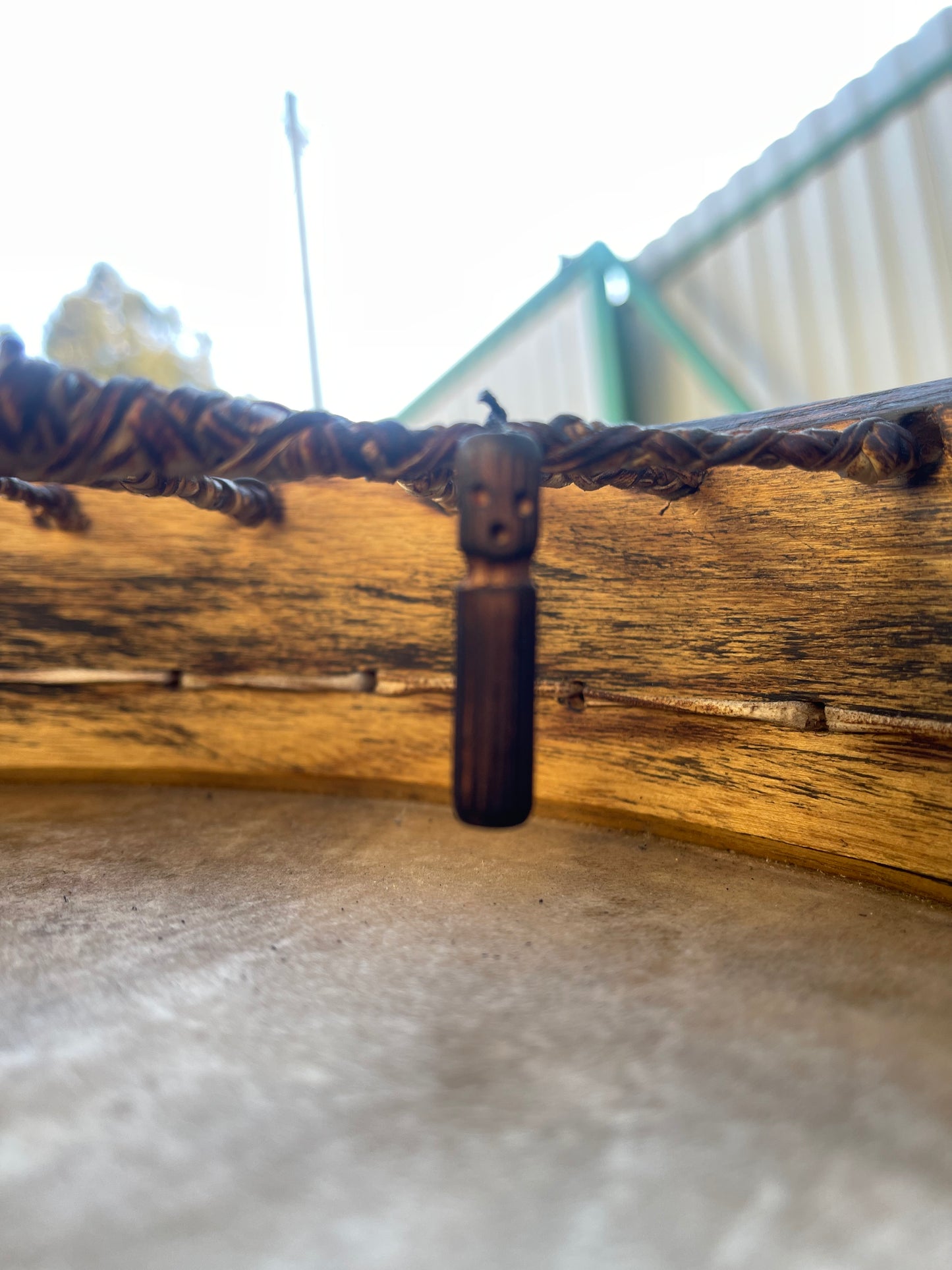 Shaman drum Tree of Life 12'