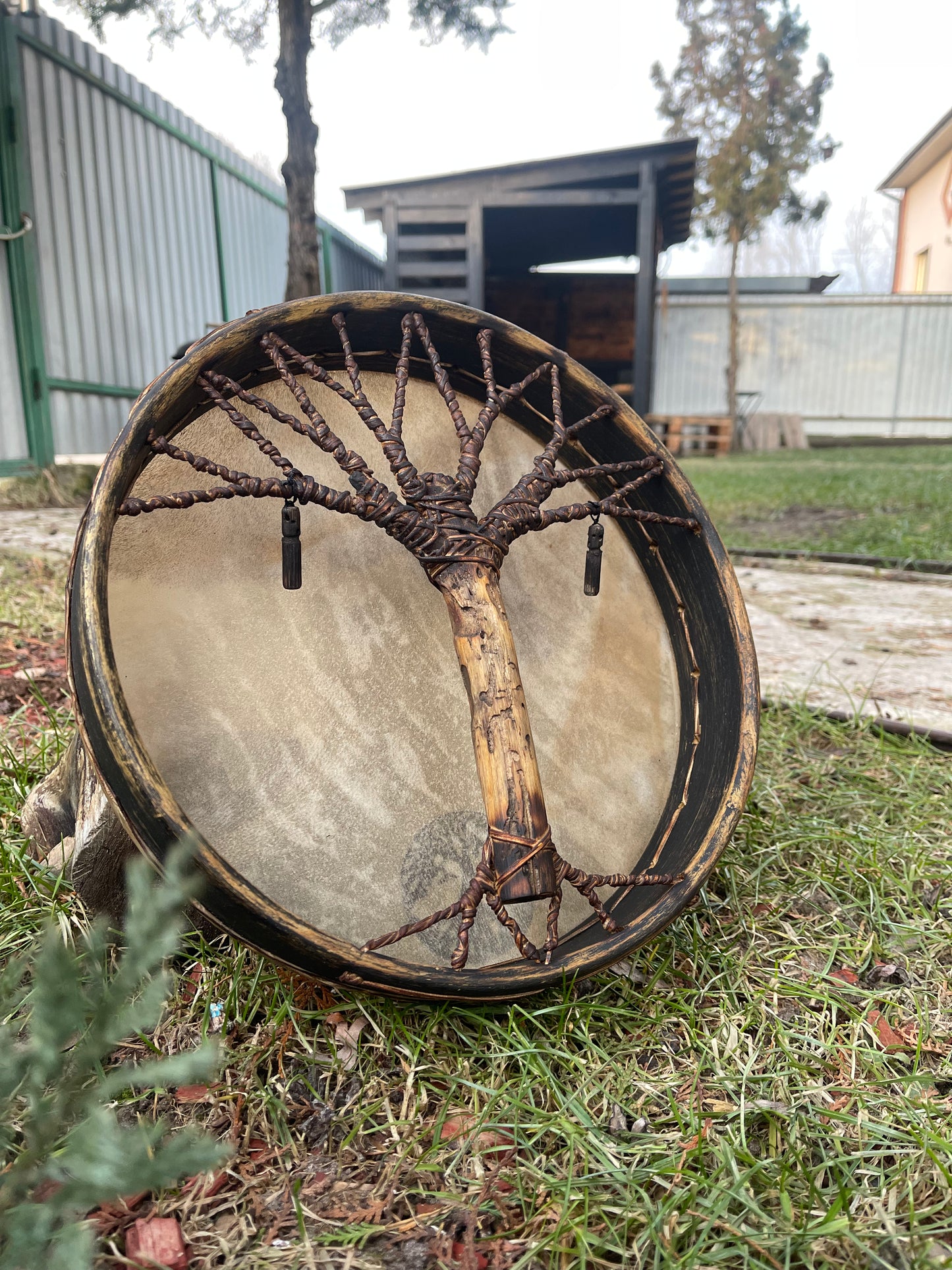 Shaman drum Tree of Life 12'