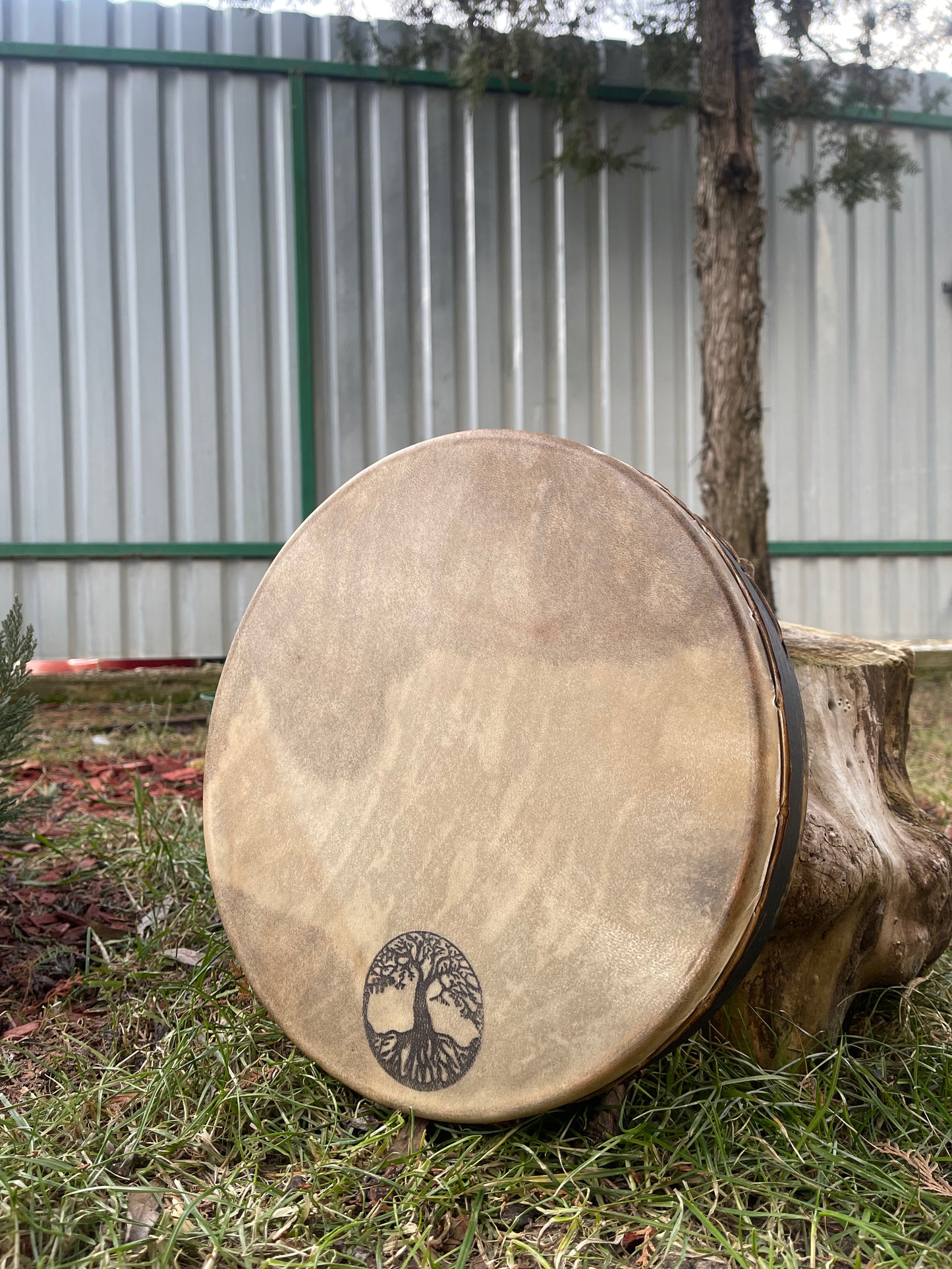 Shaman drum Tree of Life 12'