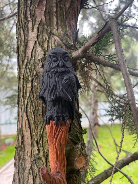 Shamanic rattle an Owl