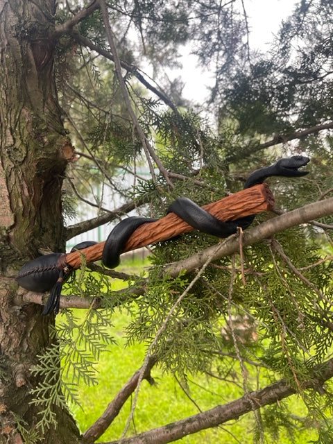 Shamanic rattle the Snake