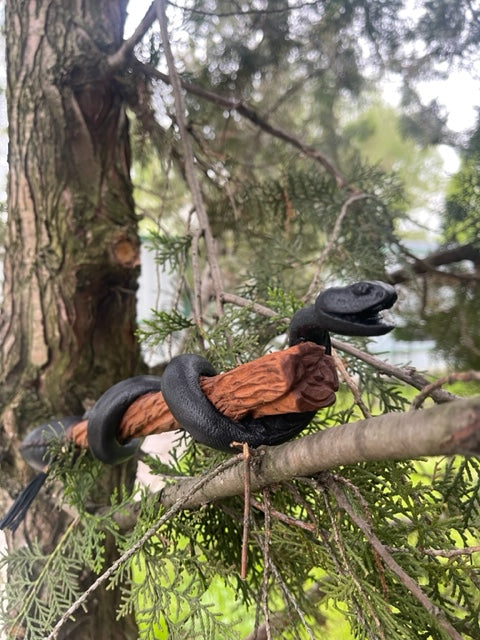 Shamanic rattle the Snake