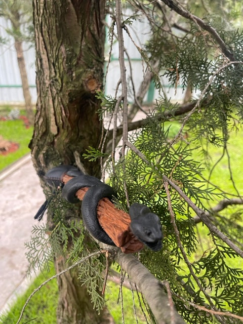 Shamanic rattle the Snake