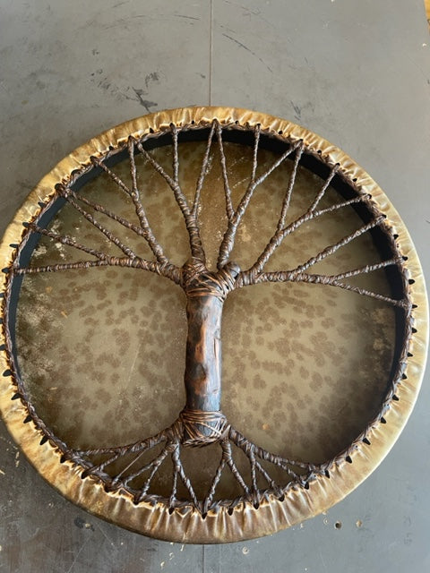 Shaman drum Tree of Life 20'