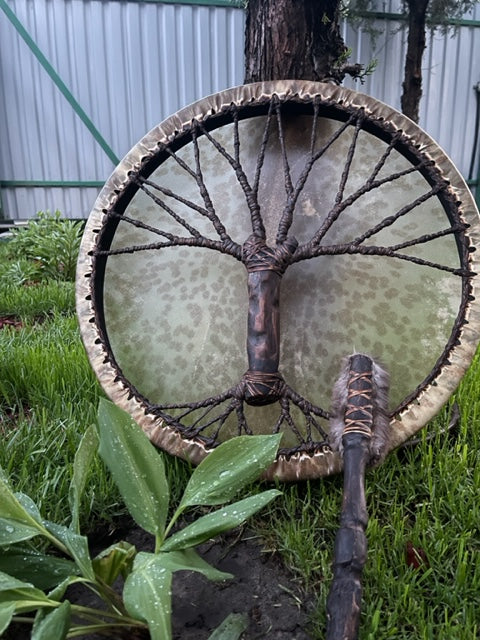 Shaman drum Tree of Life 20'