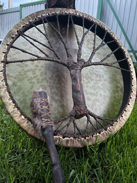 Shaman drum Tree of Life 20'