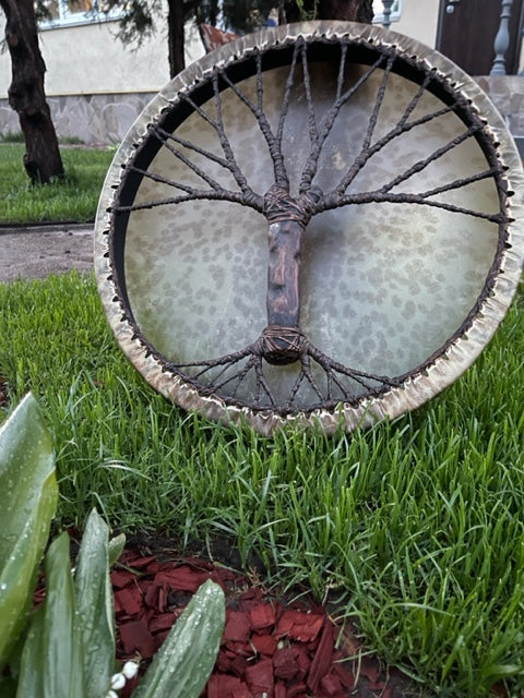 Shaman drum Tree of Life 20'
