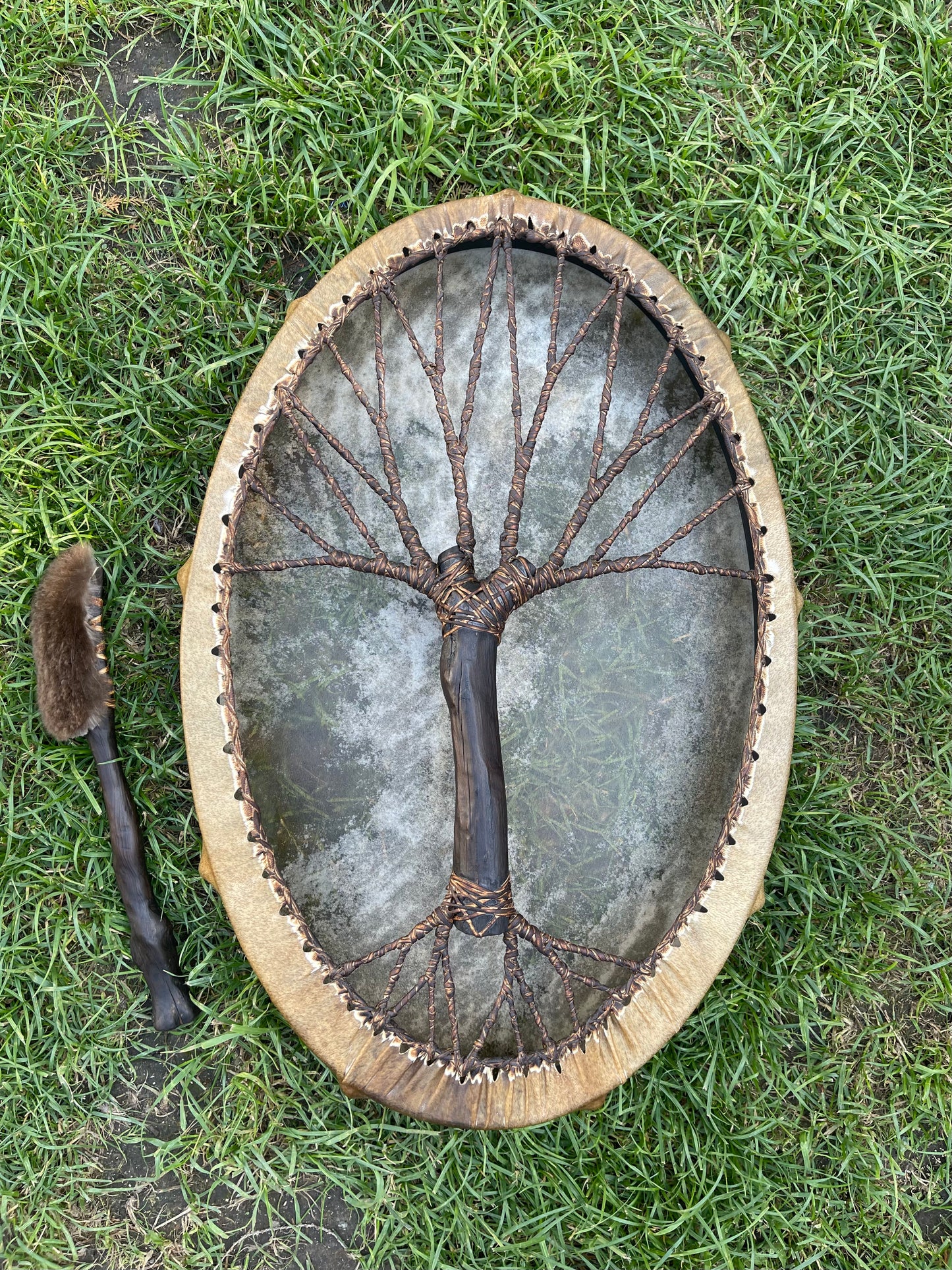 Shaman drum Tree of Life 28/20’