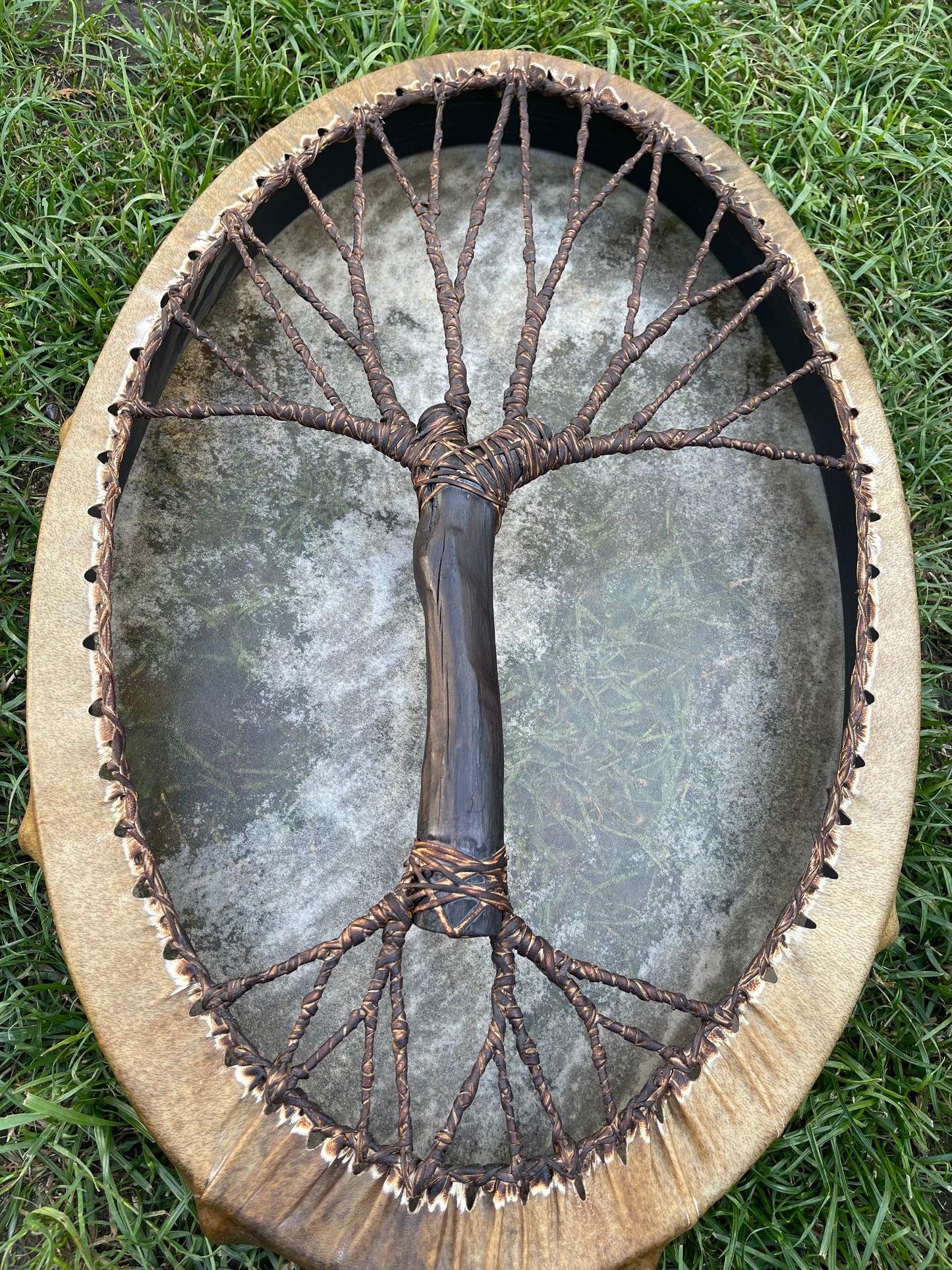 Shaman drum Tree of Life 28/20’