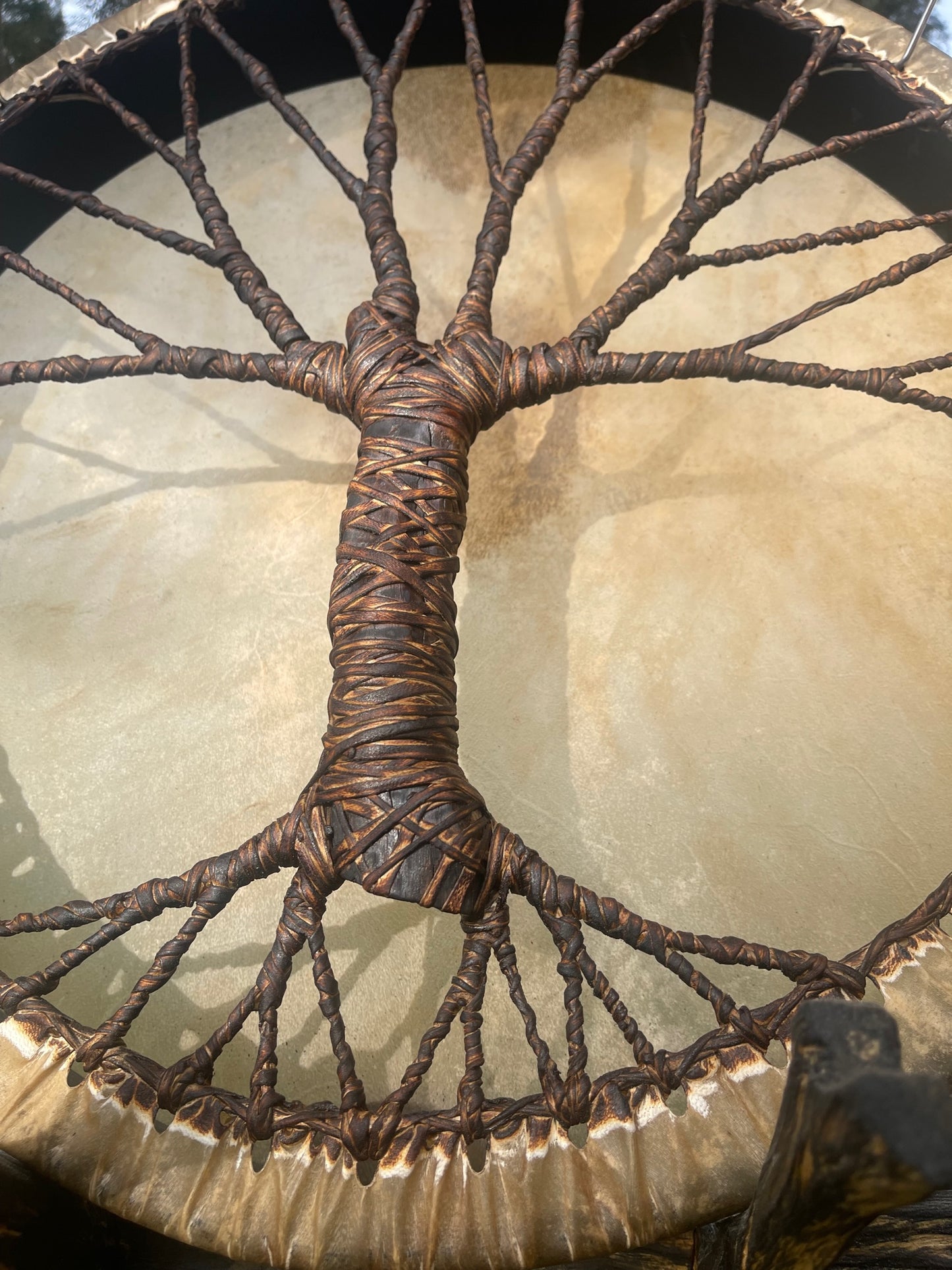 Shaman drum Tree of Life 20'