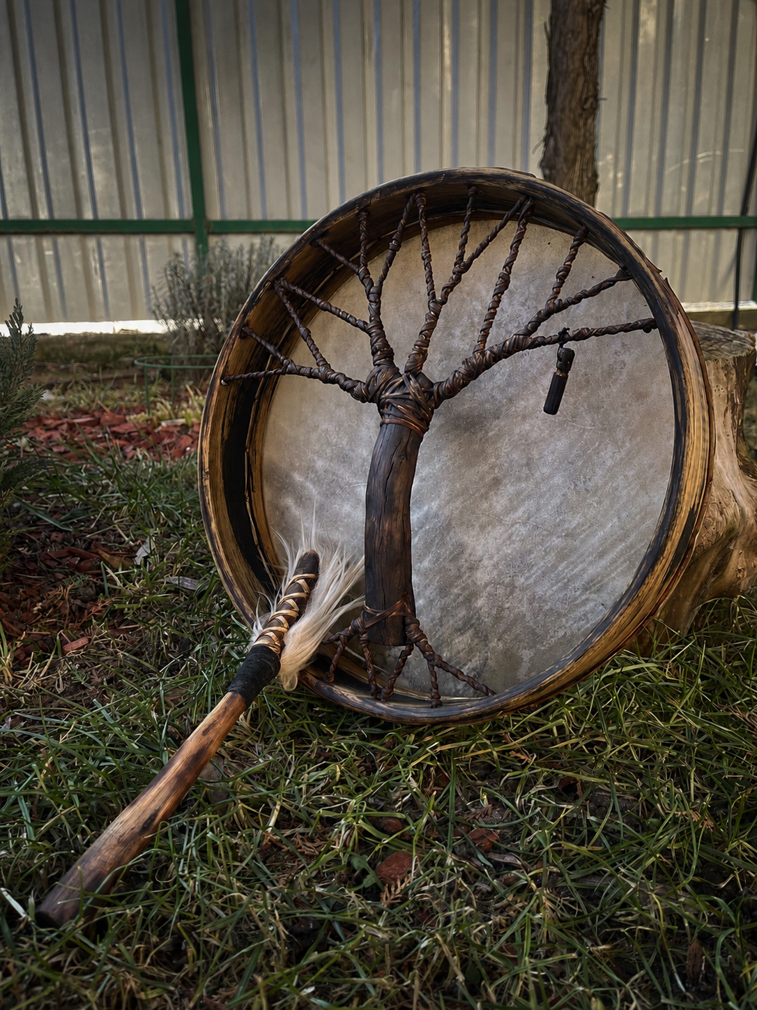 Shamanic Drum 'Tree of Life' — 12" Round