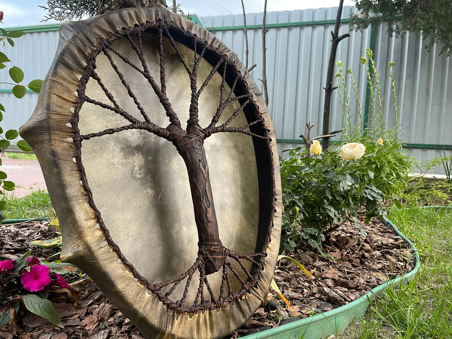 Shaman drum Tree of Life 24/20’