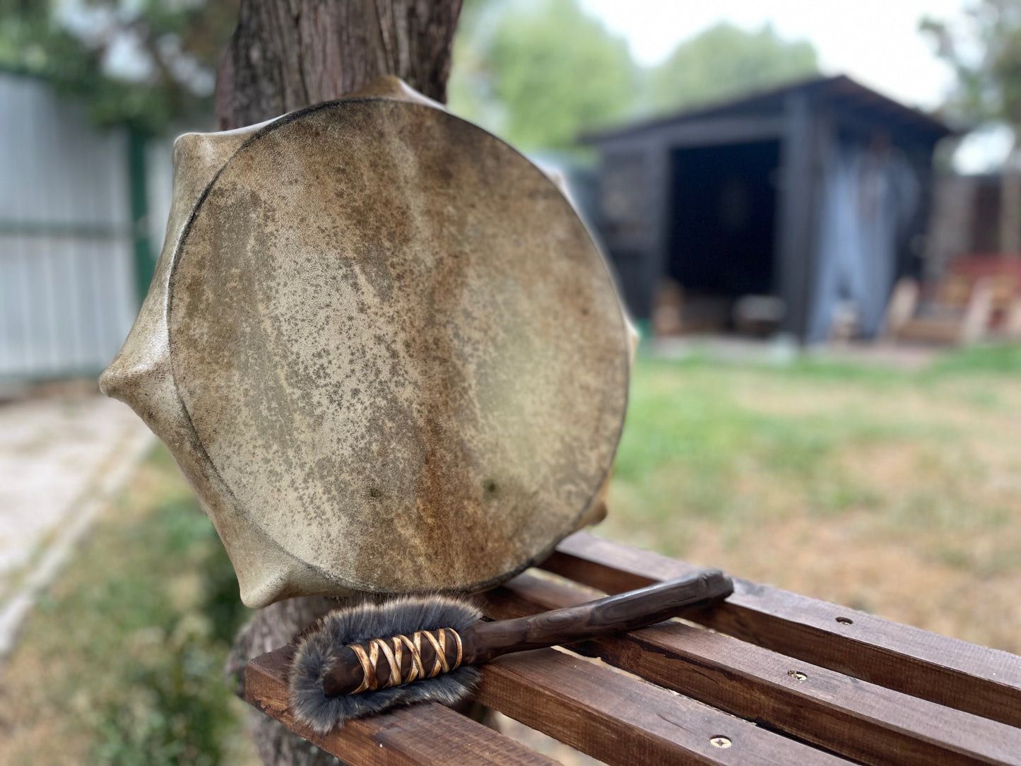 Shaman drum Tree of Life 12'