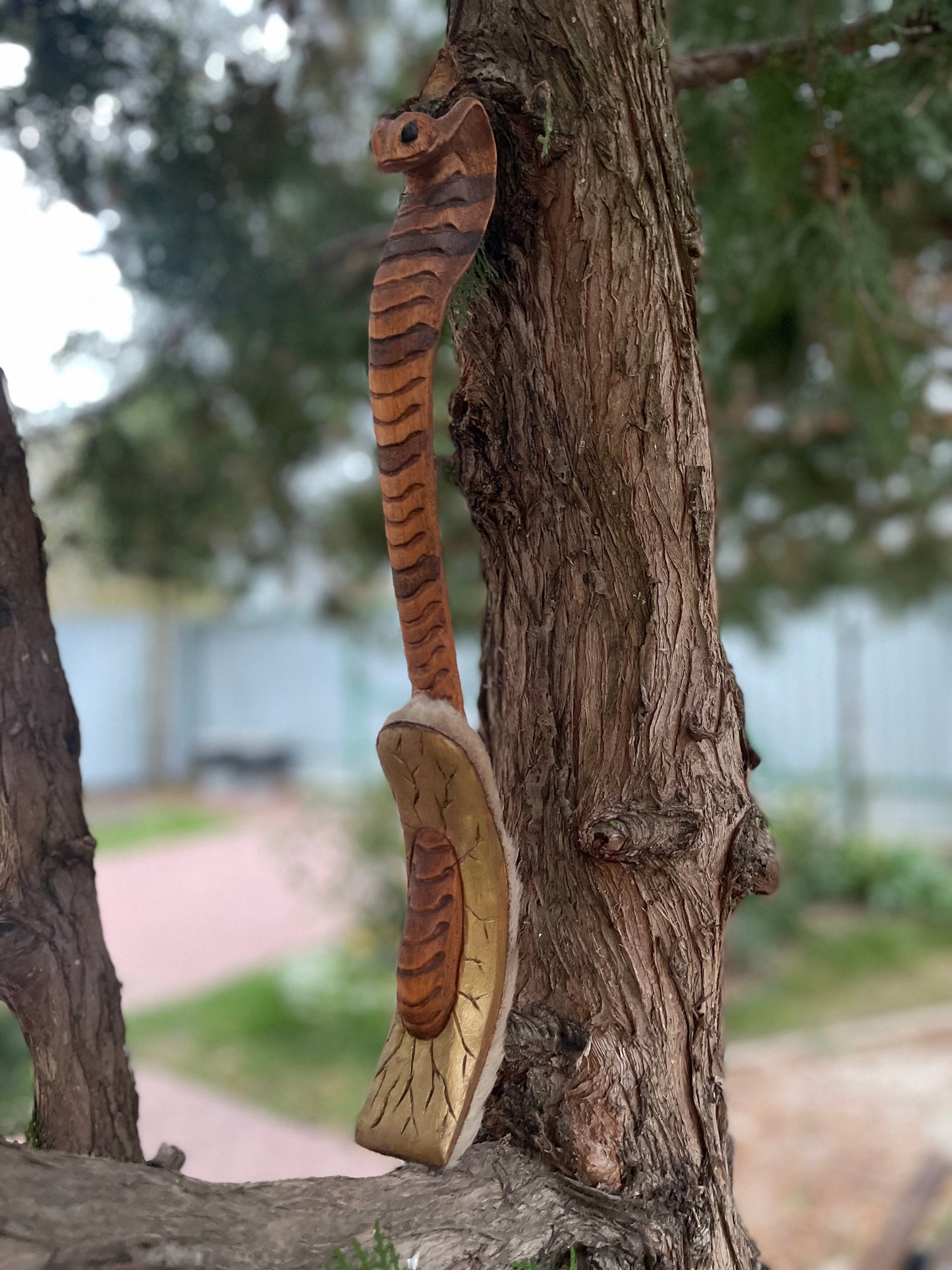 Shamanic beater Cobra