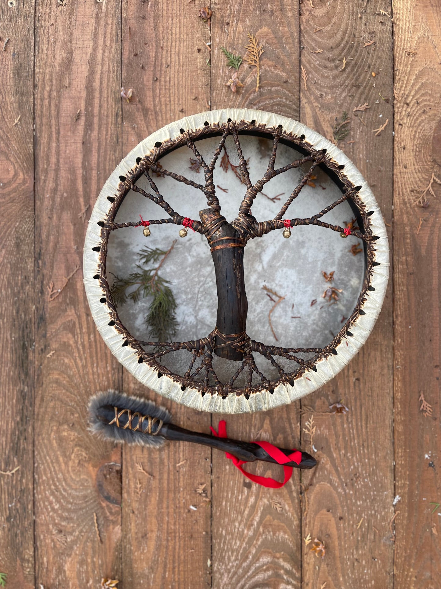 Shaman drum Tree of Life 12'