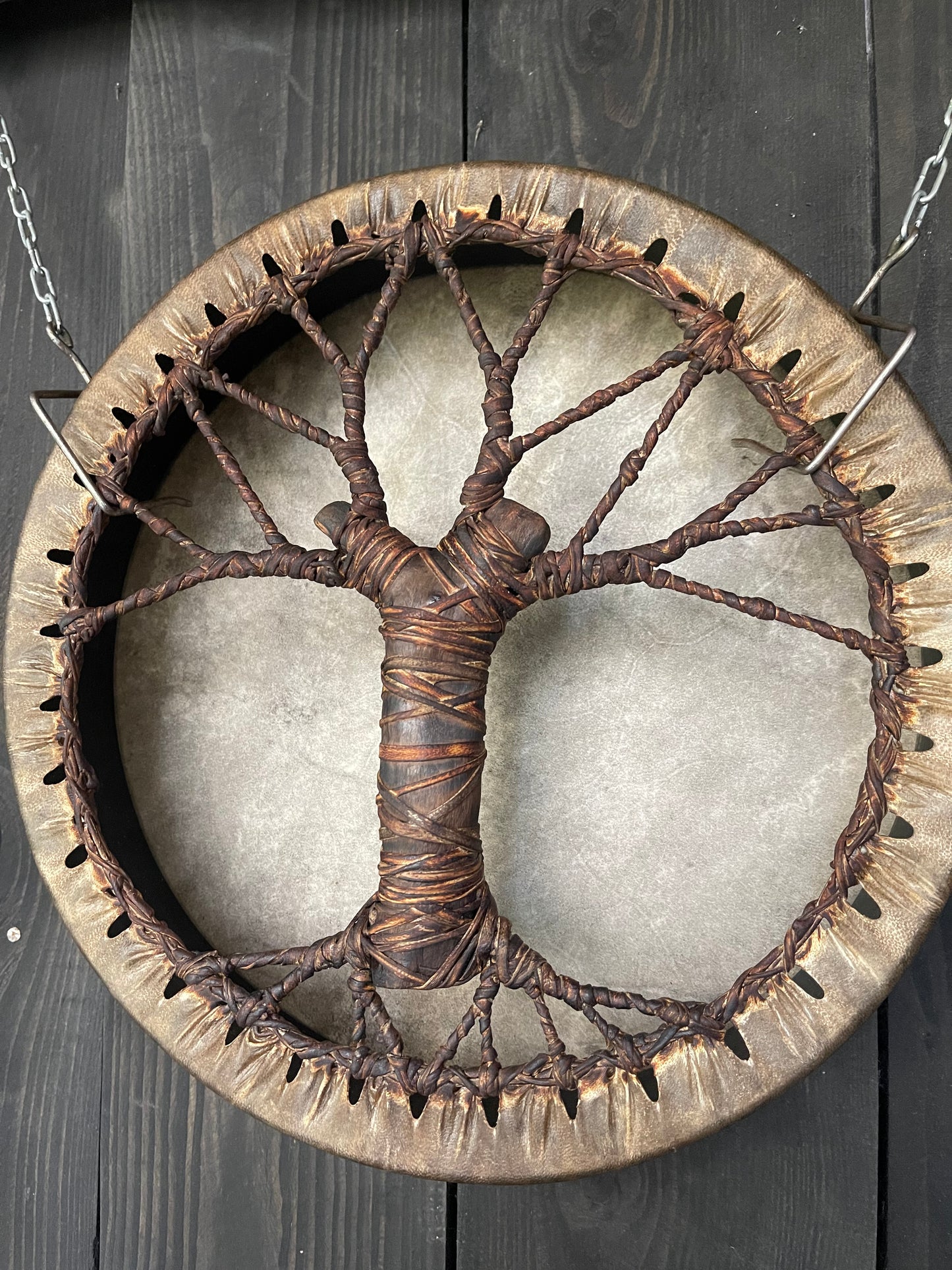 Shaman drum Tree of Life 12'