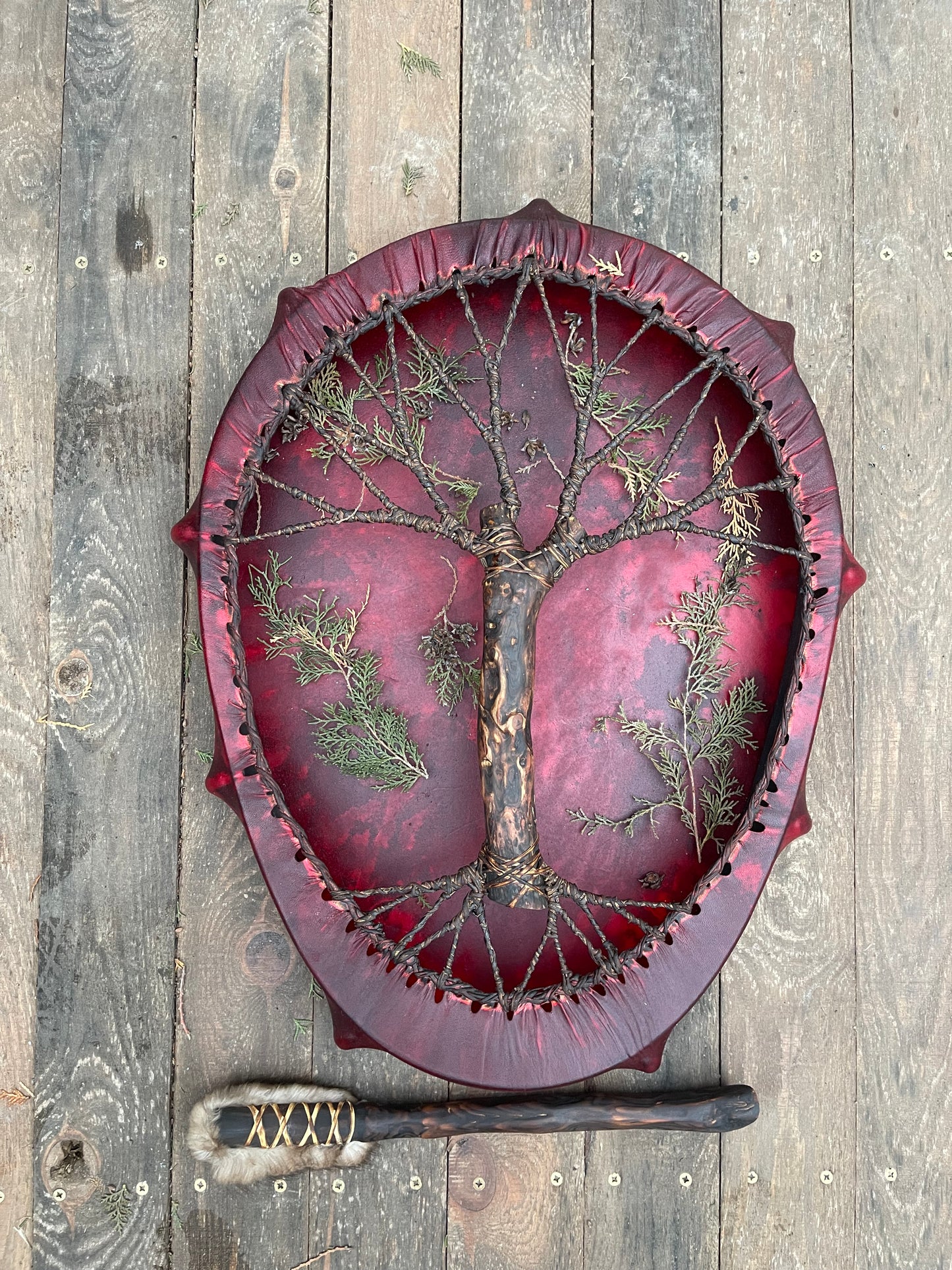 Shaman drum Tree of Life 24/20’