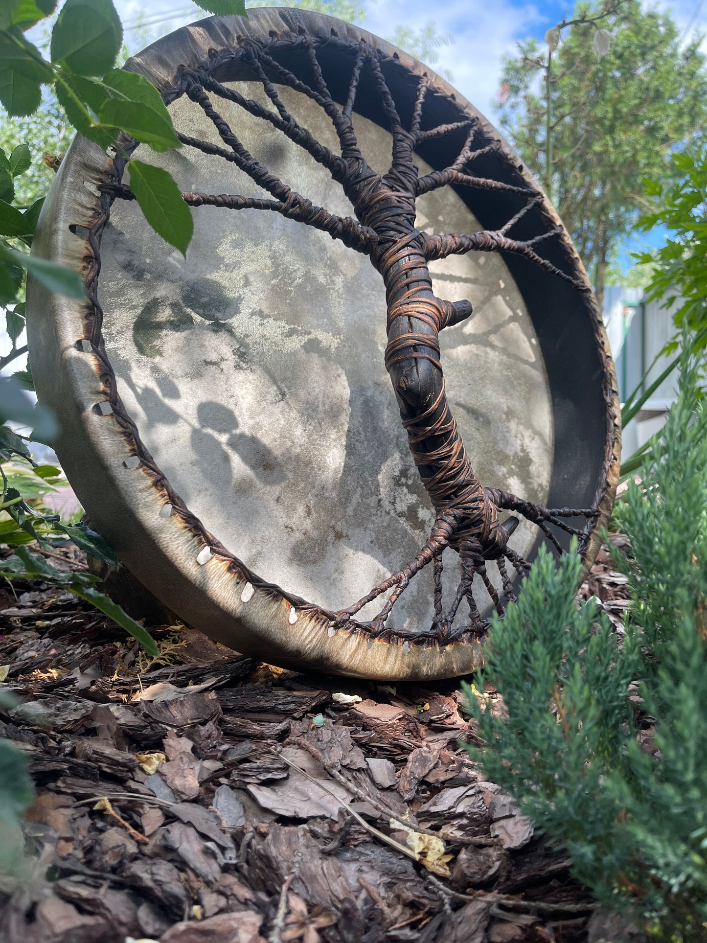 Shaman drum Tree of Life 18’