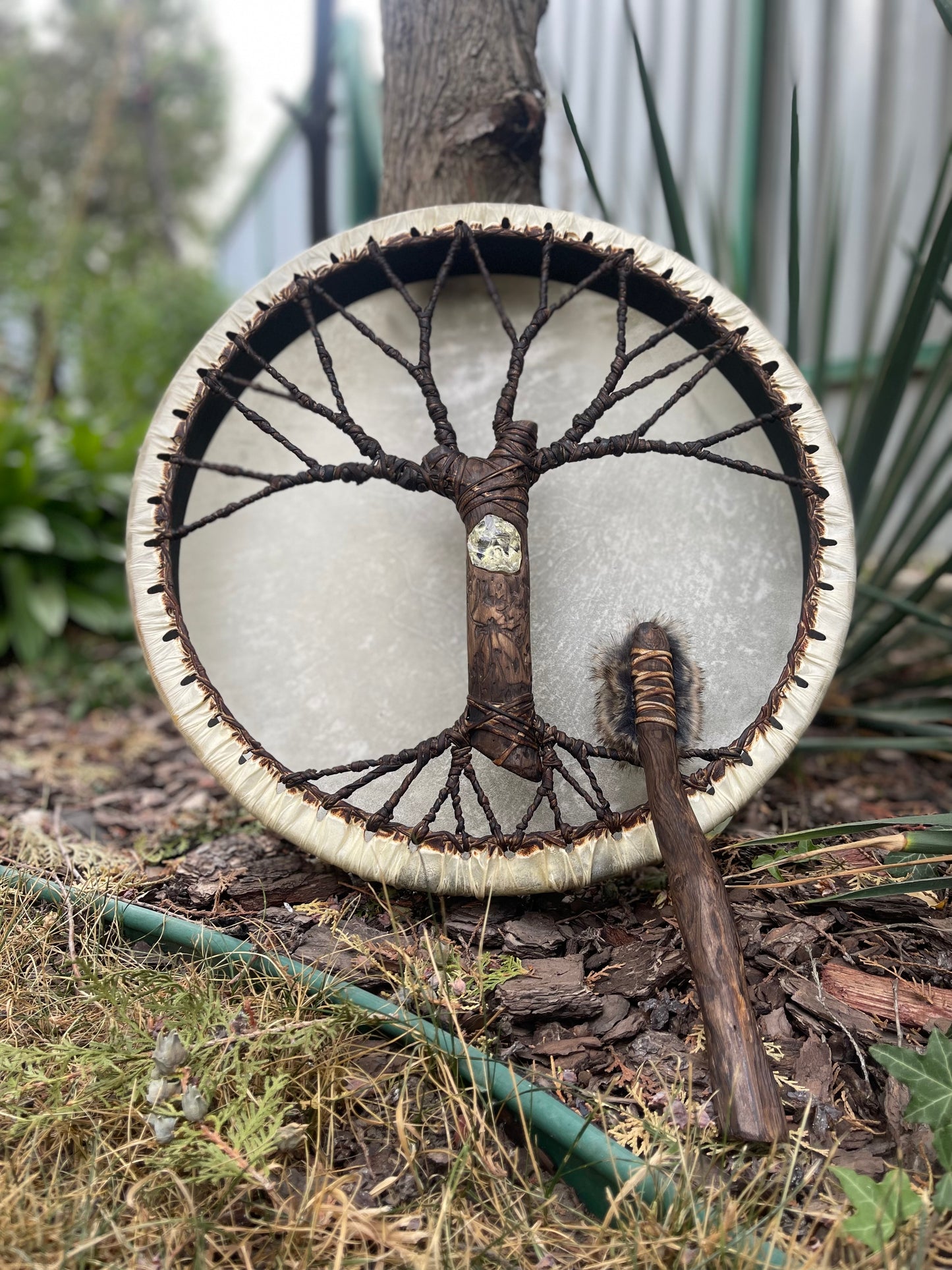 Shaman drum Tree of Life 16 moonstone