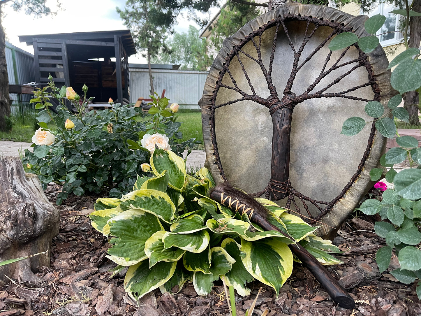 Shaman drum Tree of Life 24/20’